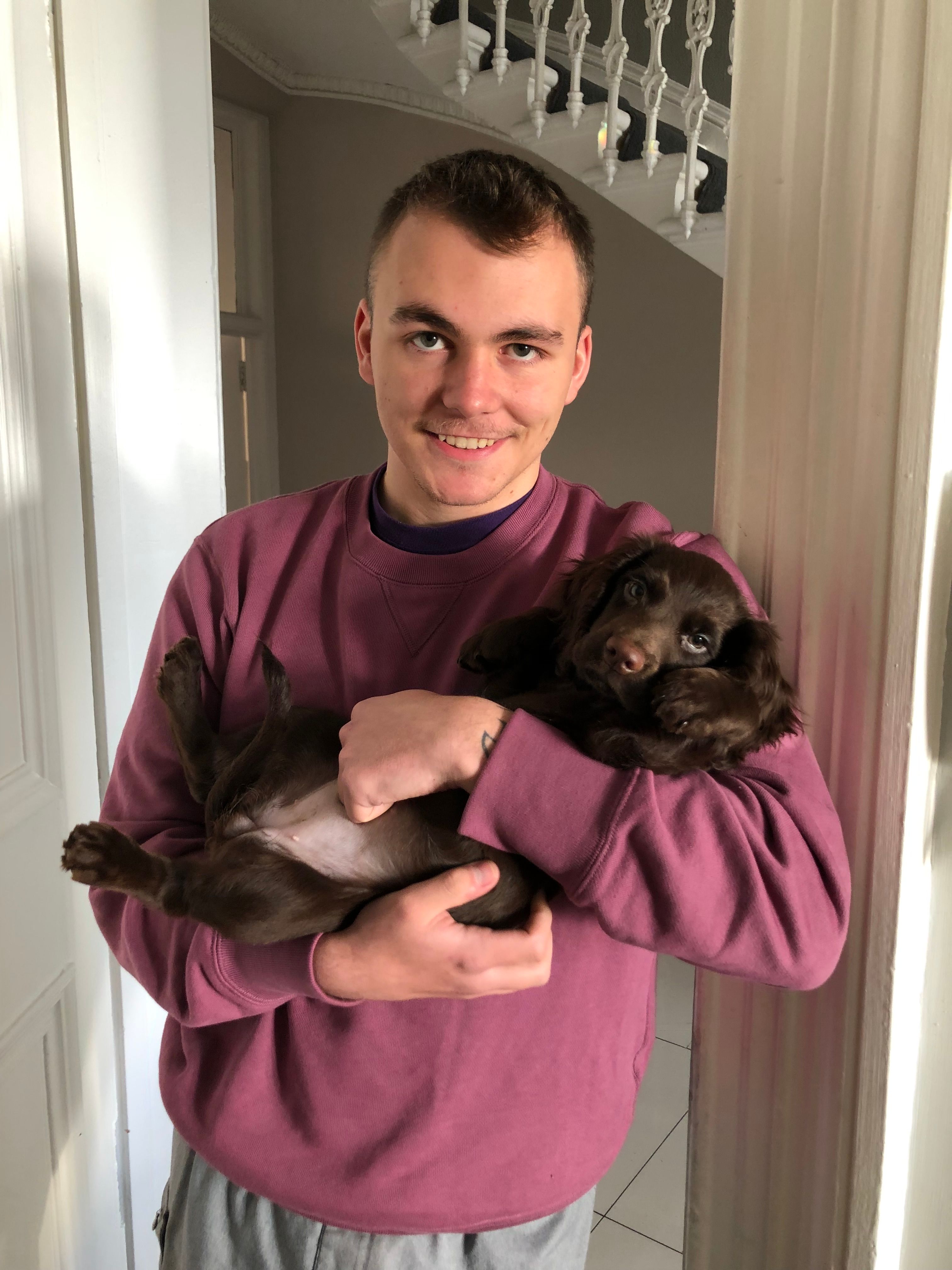image-20