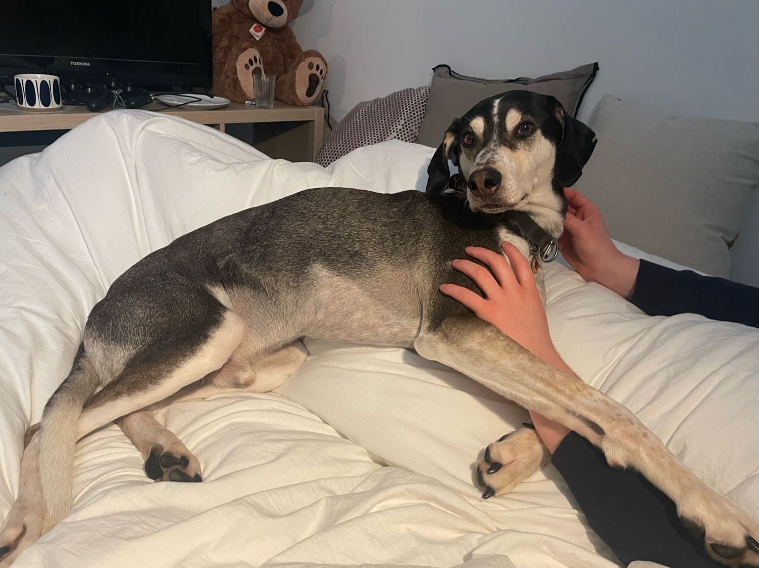 image-9