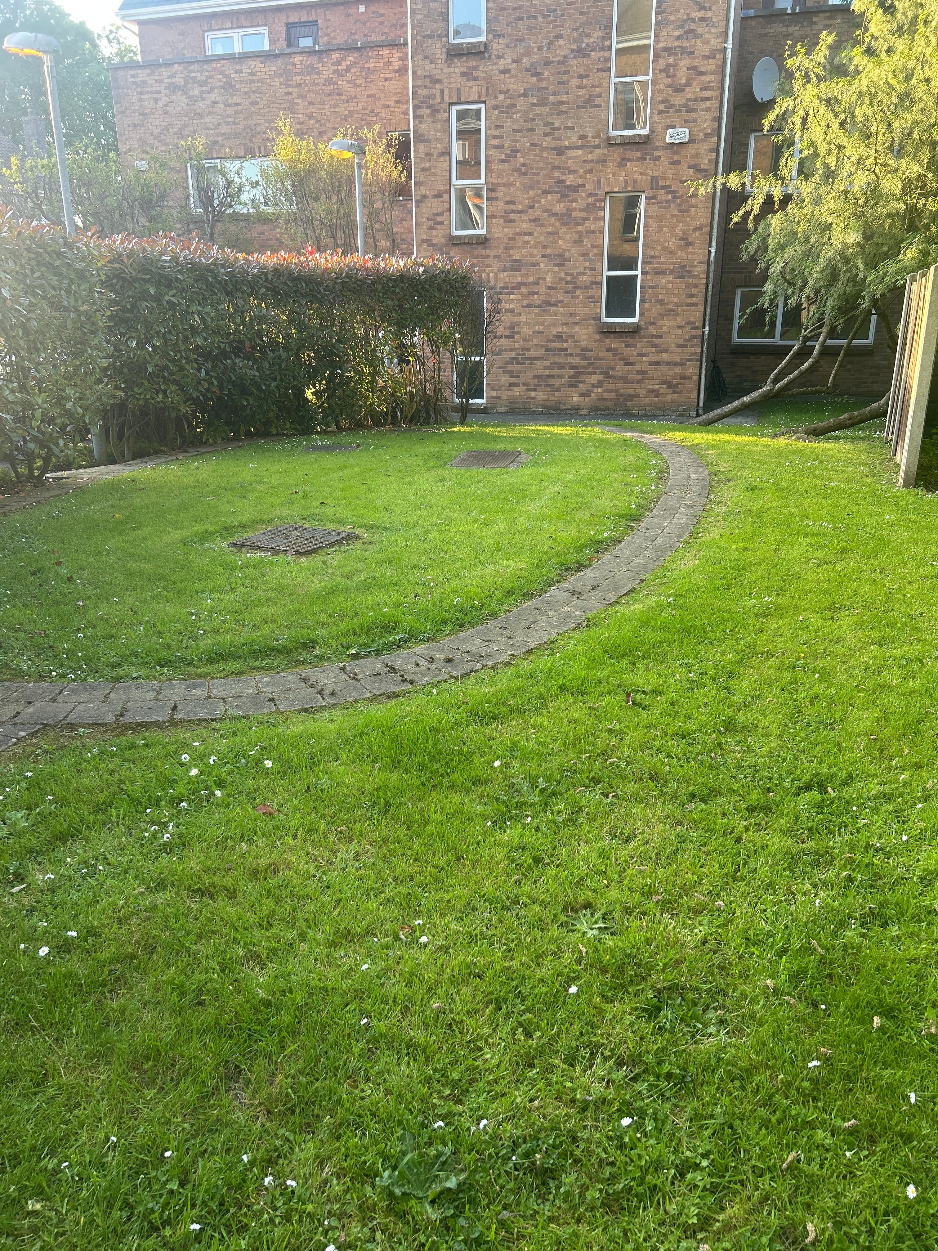 image-10