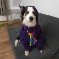 Artù