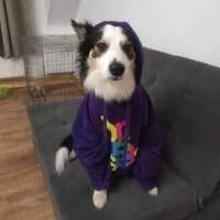 Artù