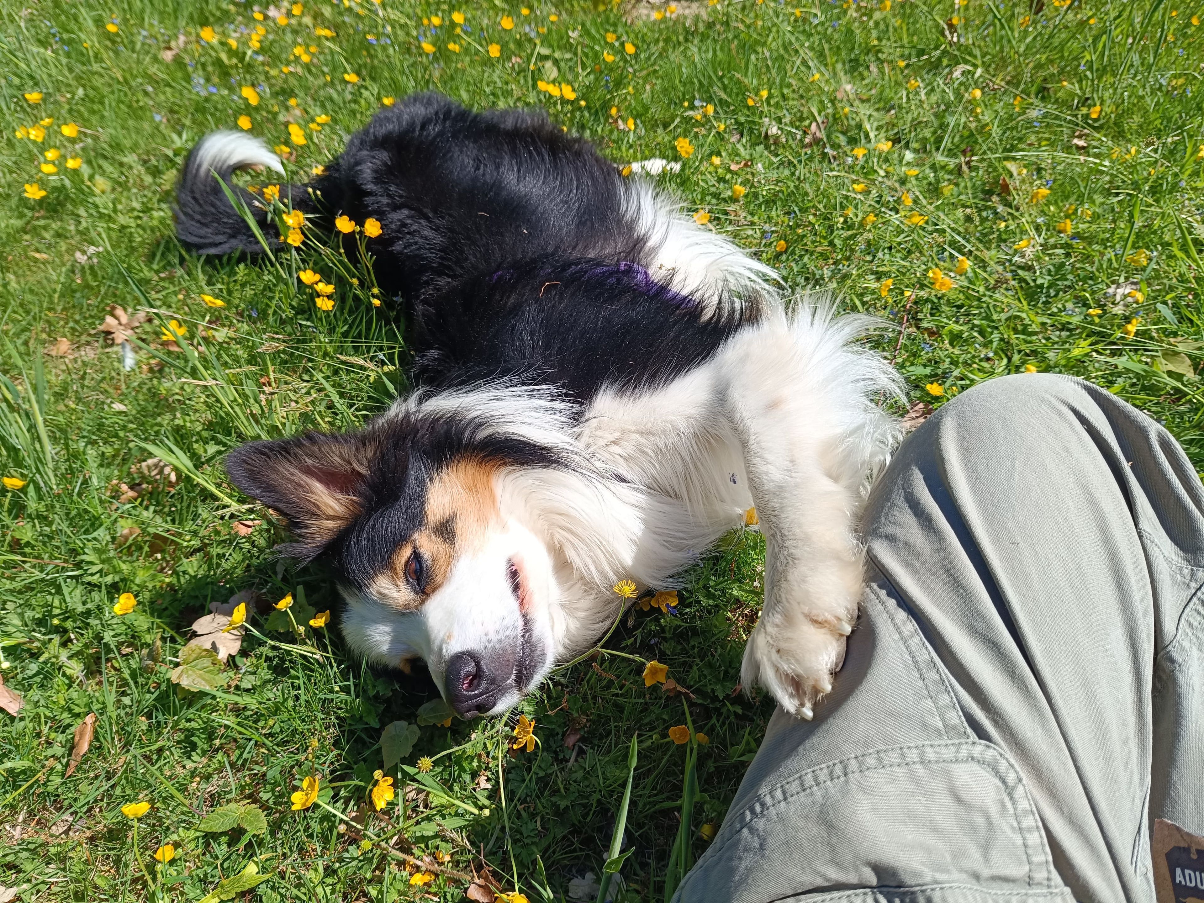 image-4