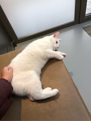 image-25