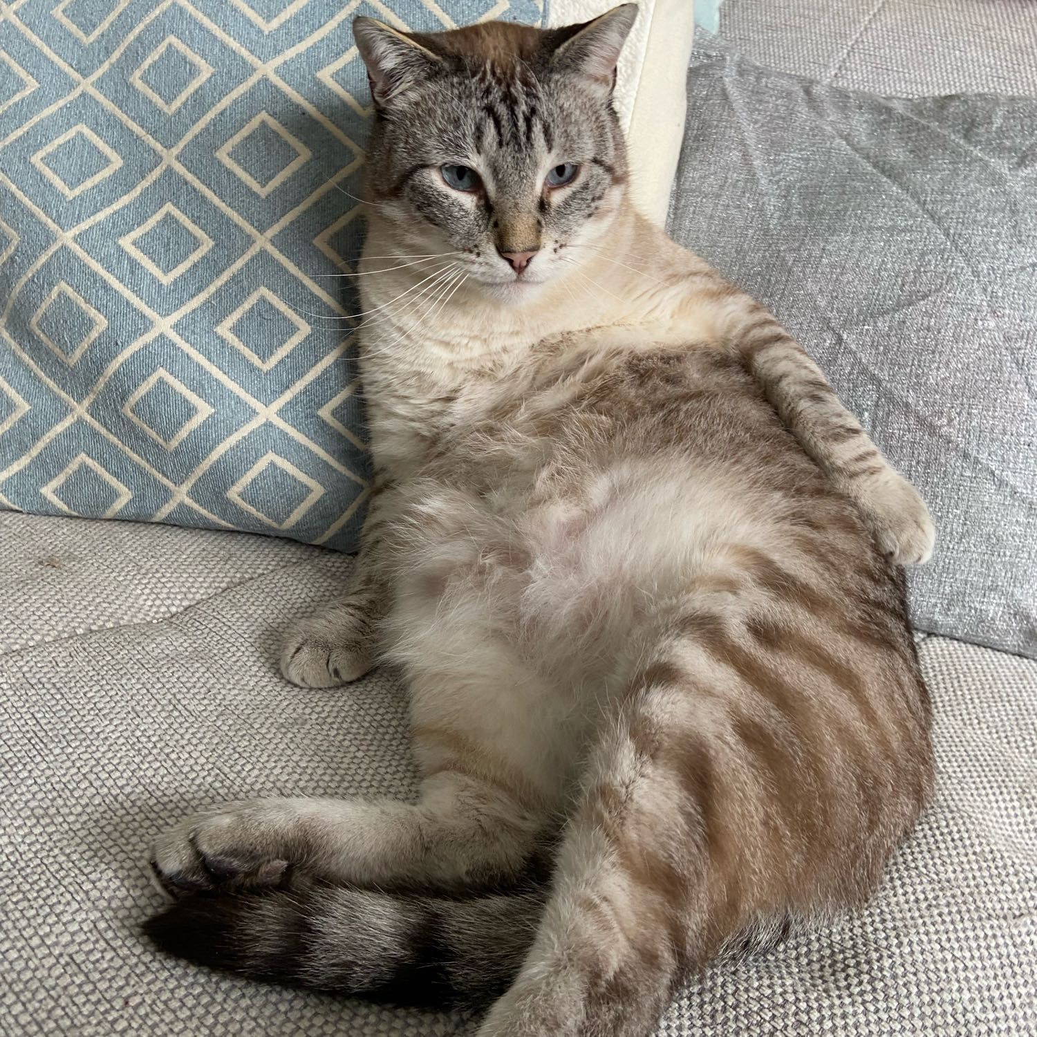 Milo