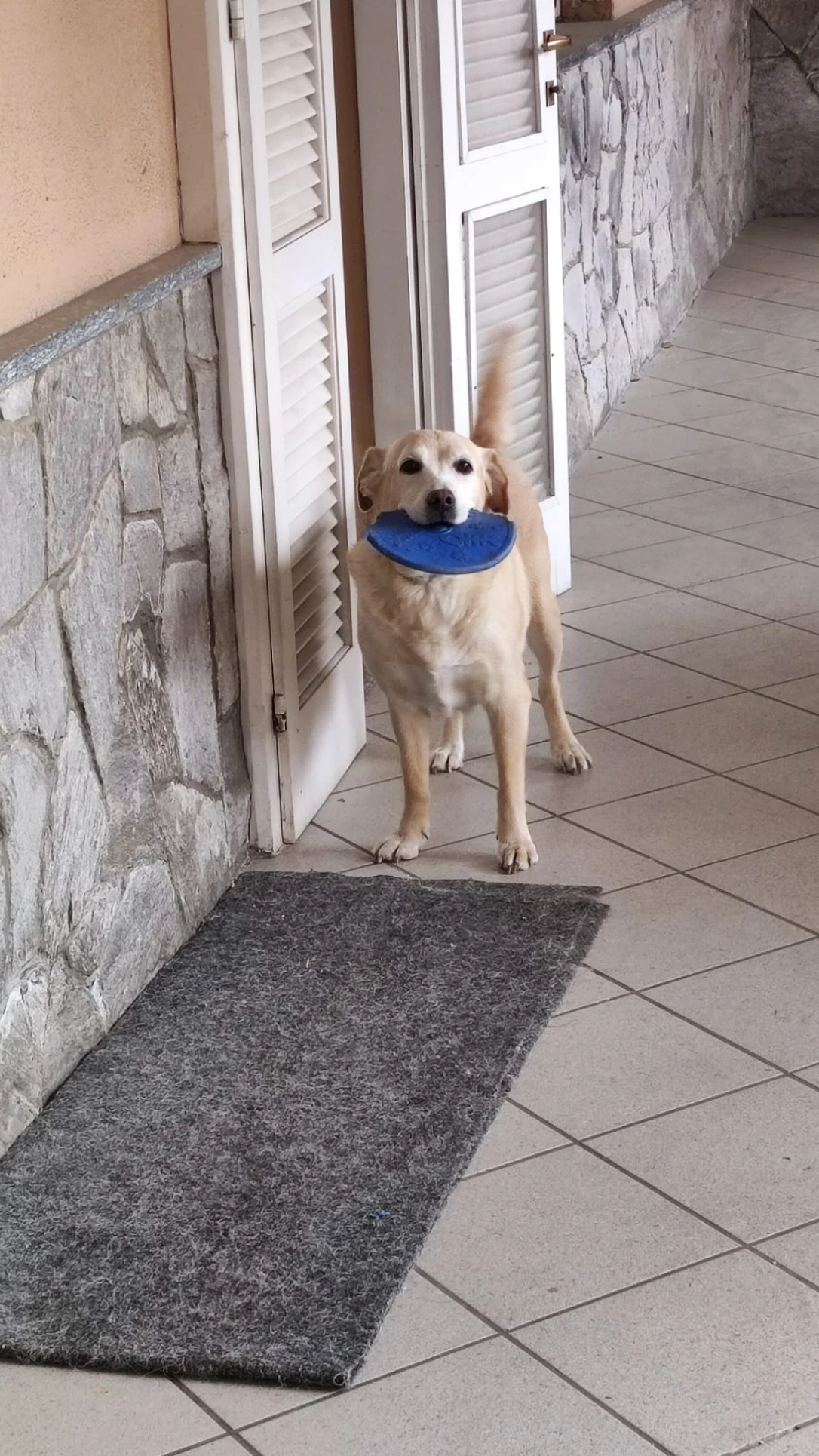 image-9