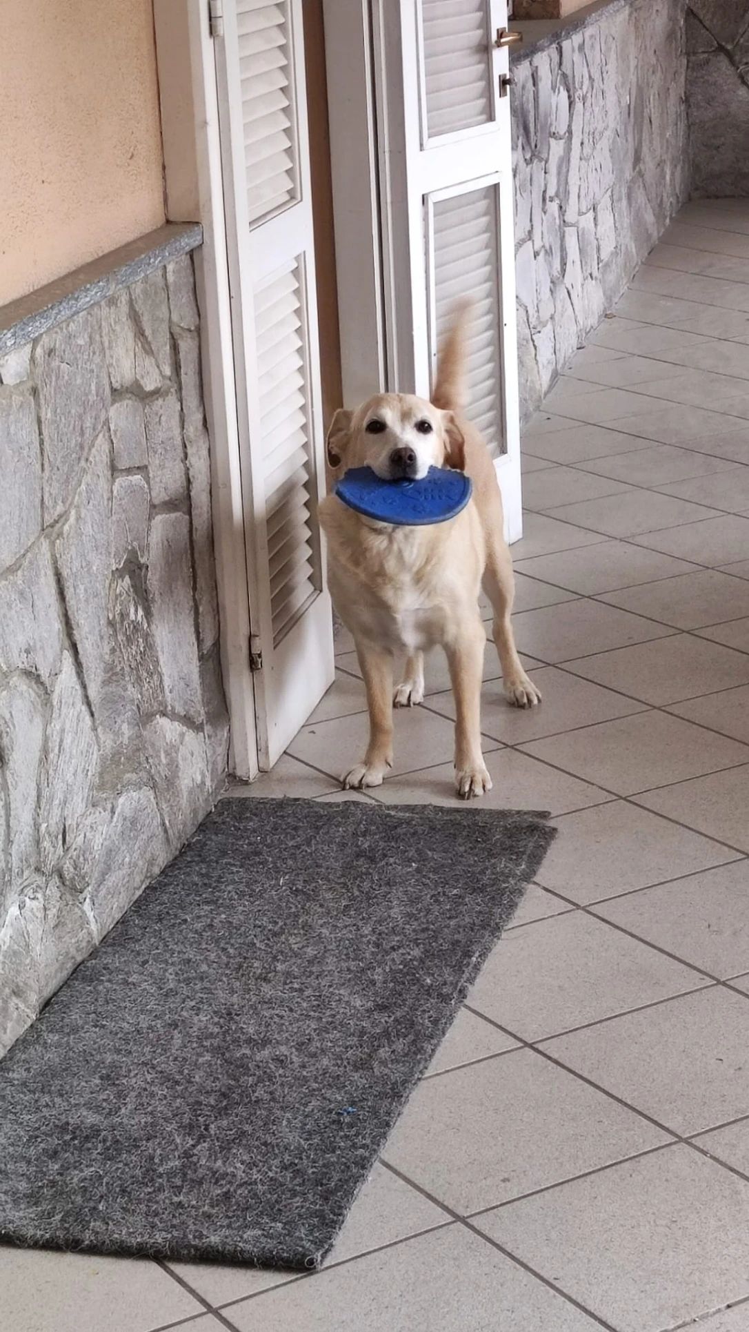 image-9