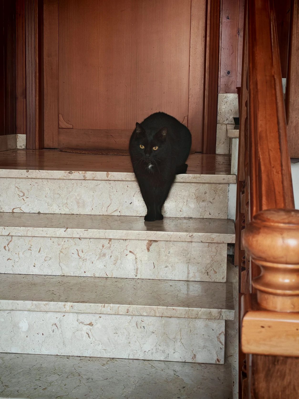 image-15