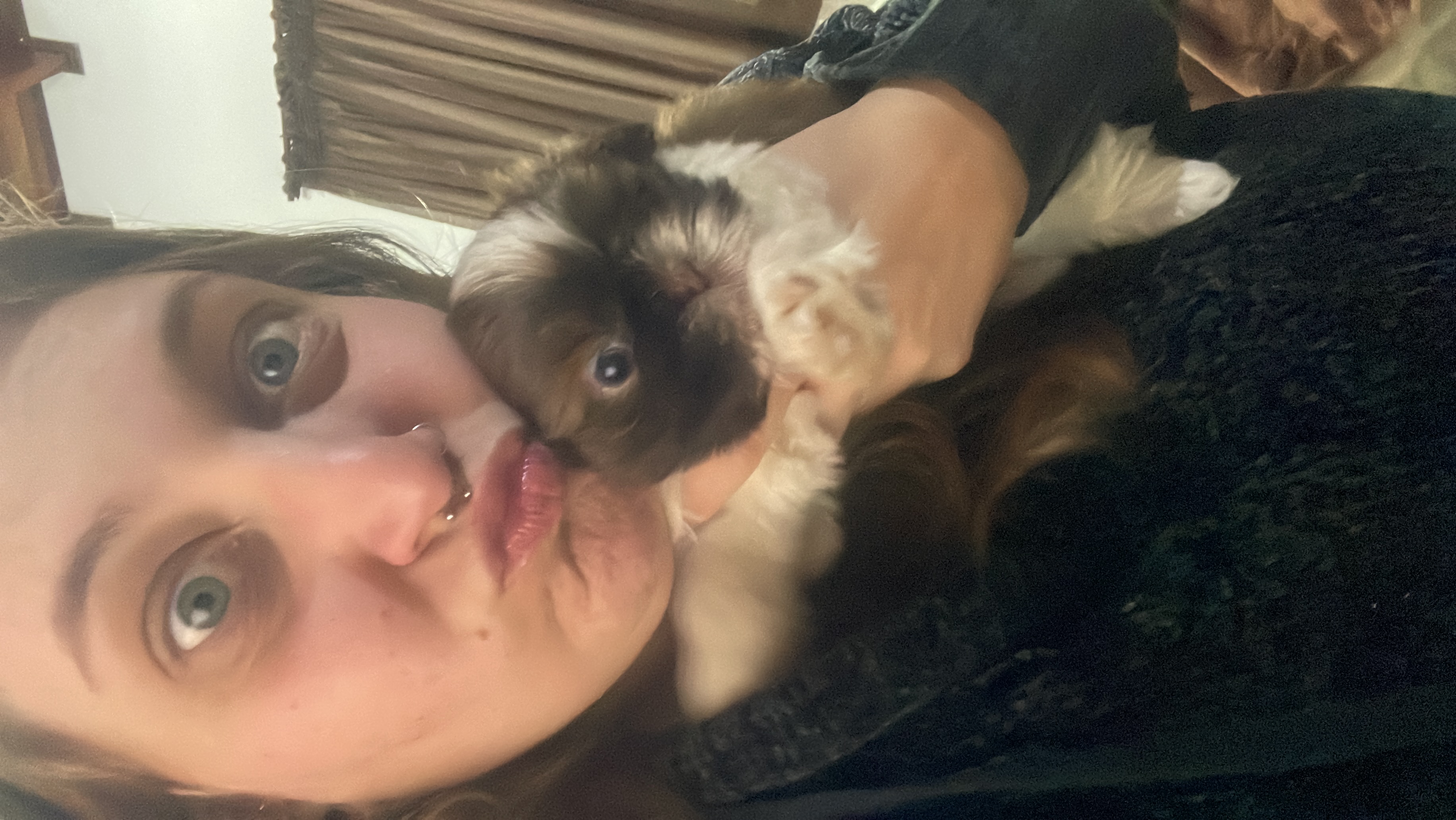image-6