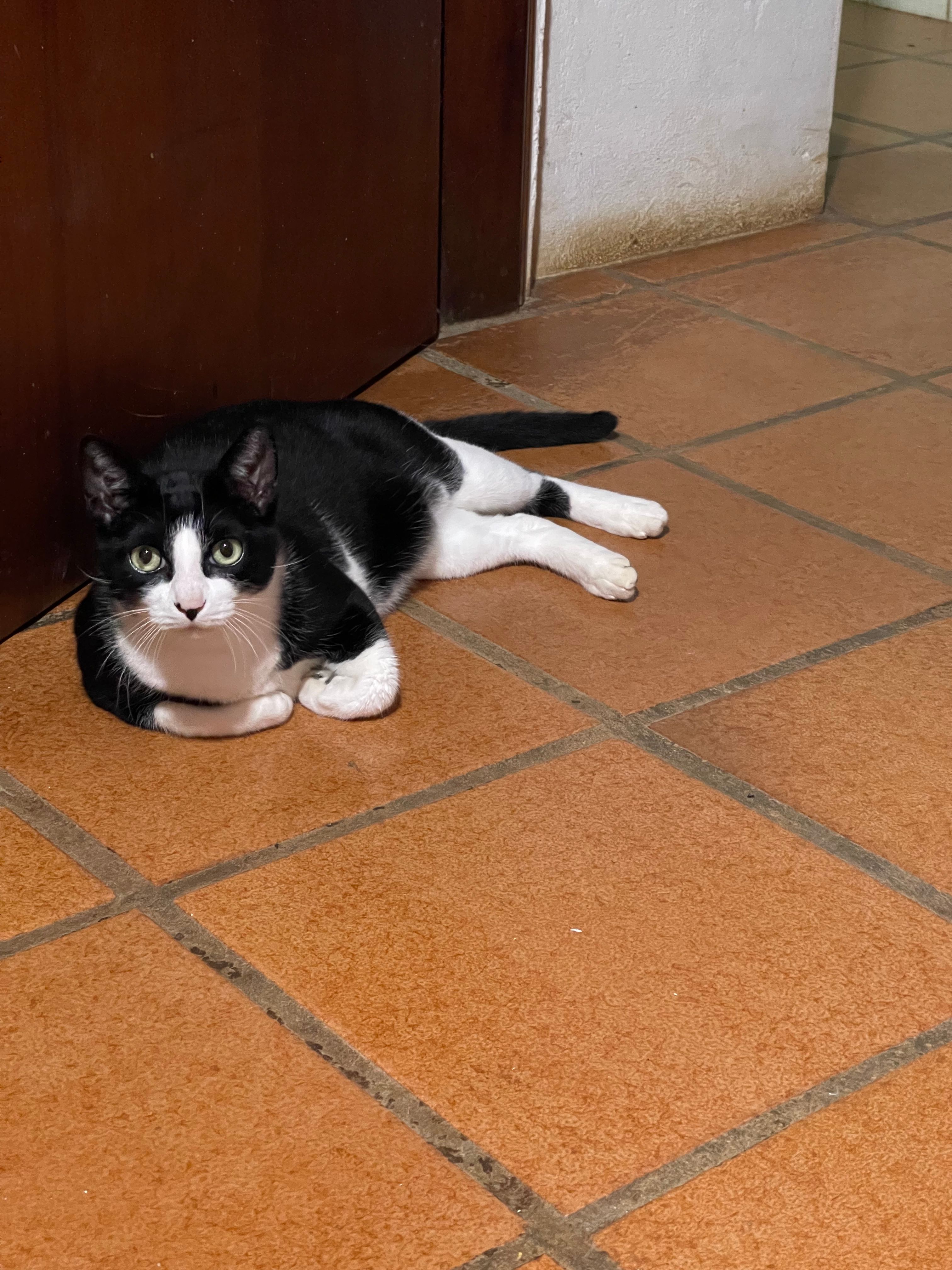 image-20