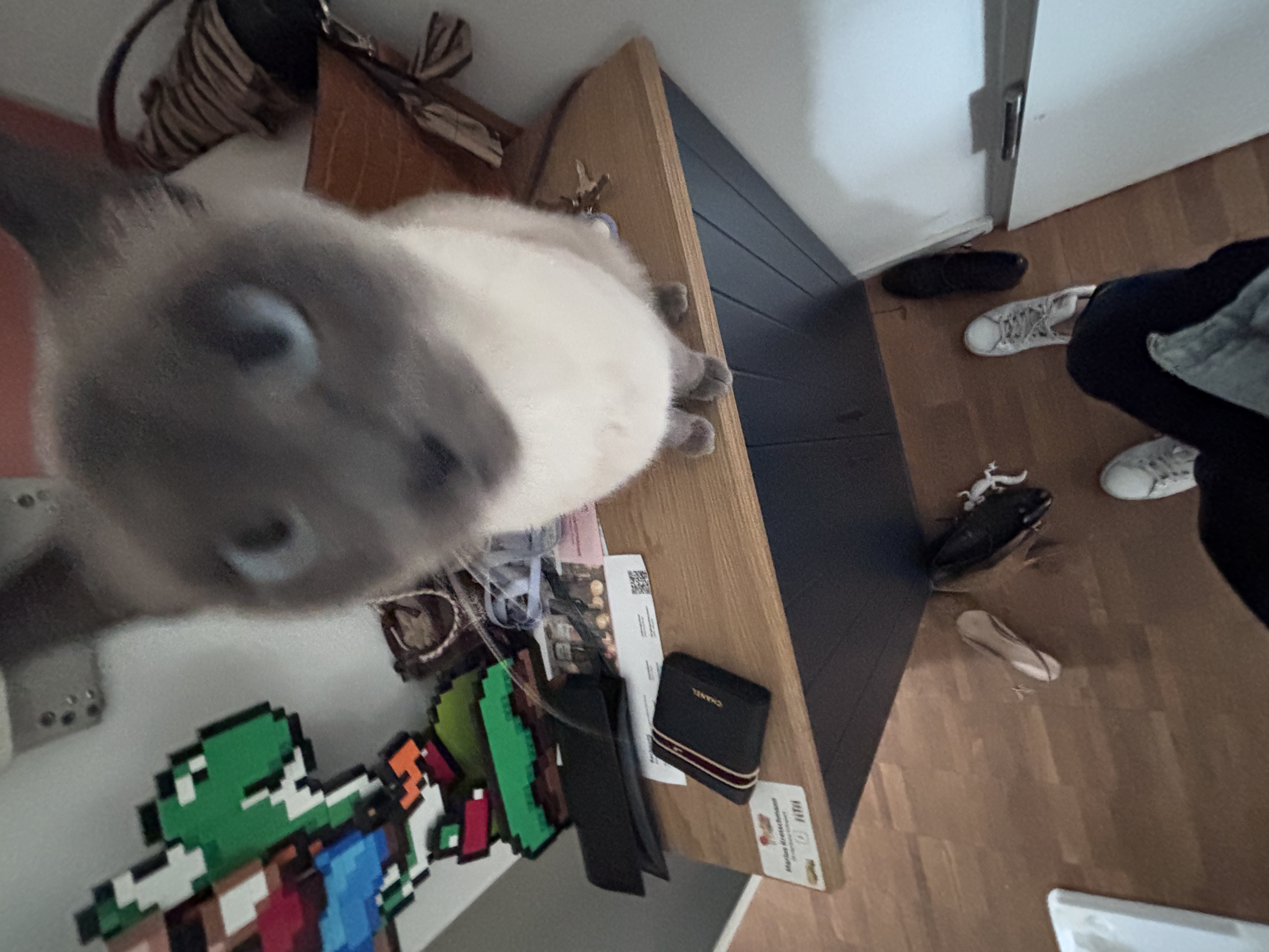 image-16
