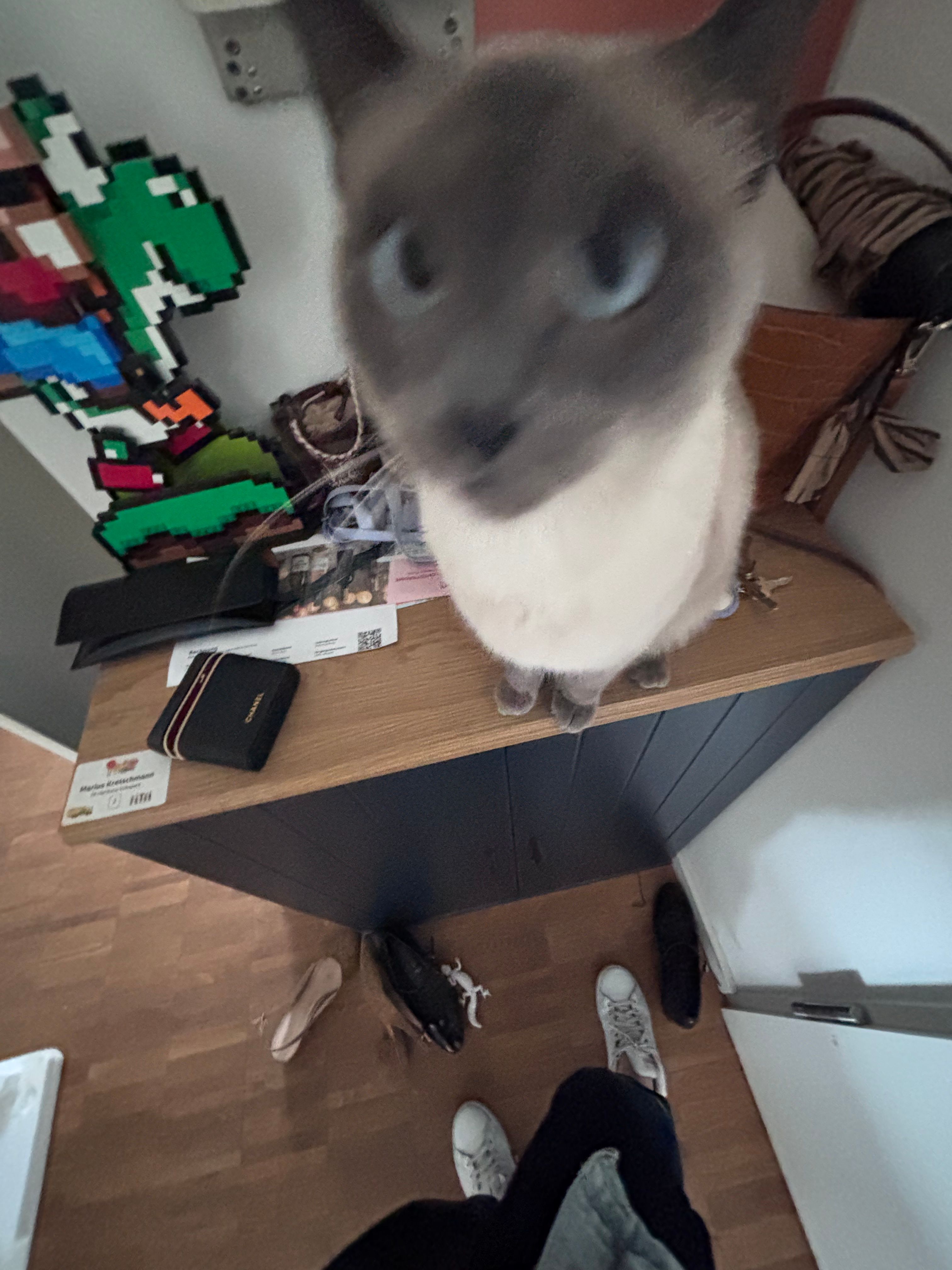 image-16