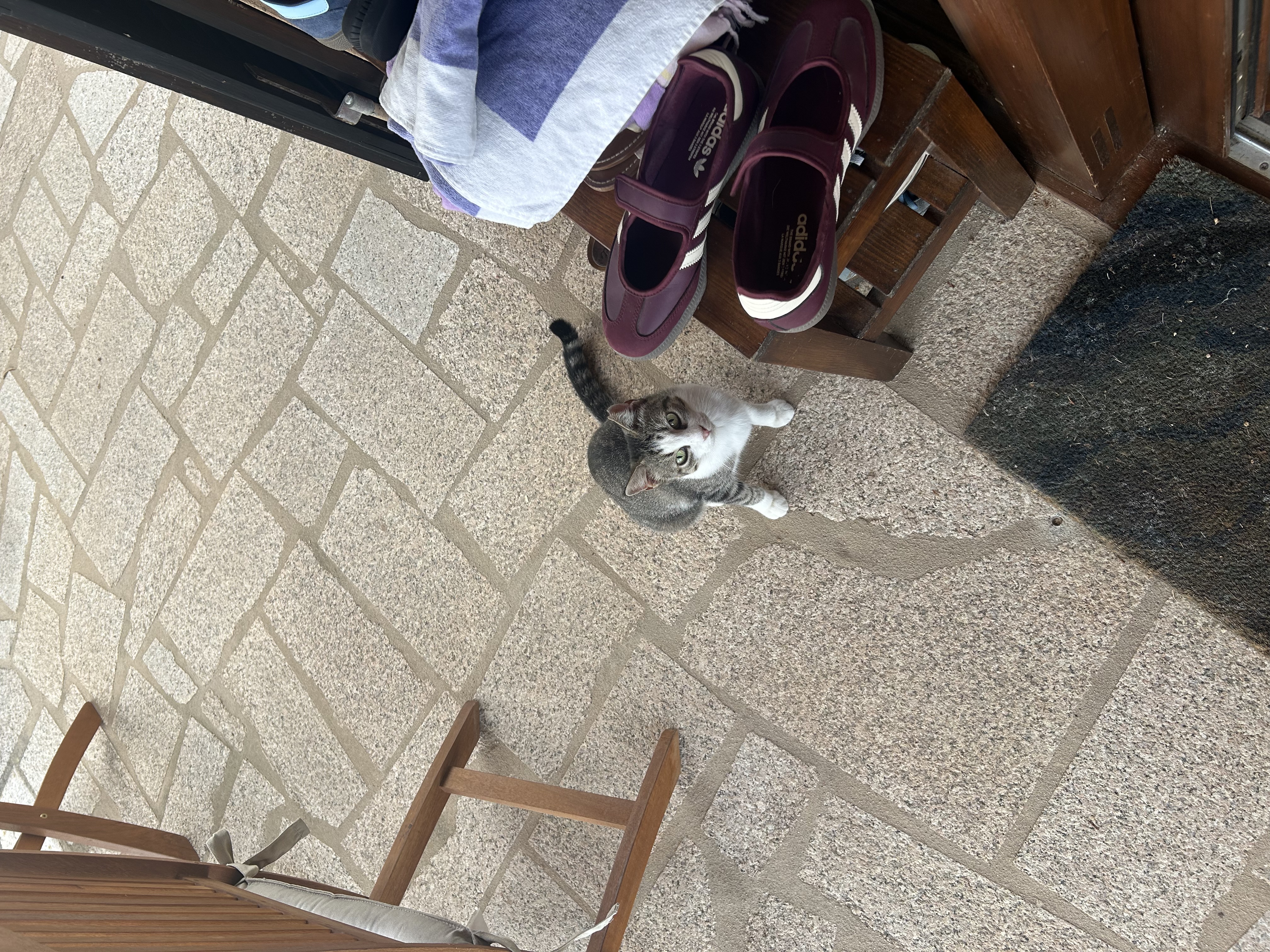 image-14