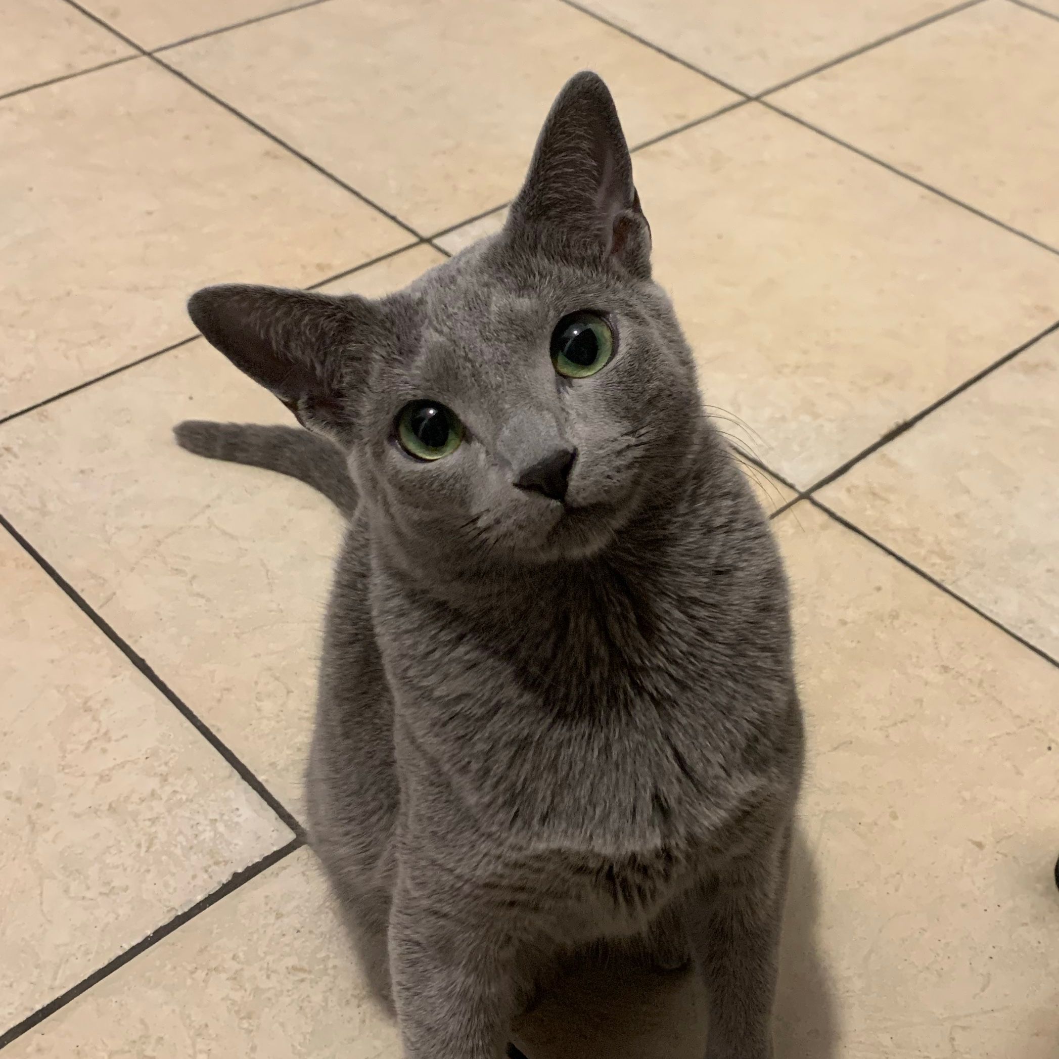 Kiki