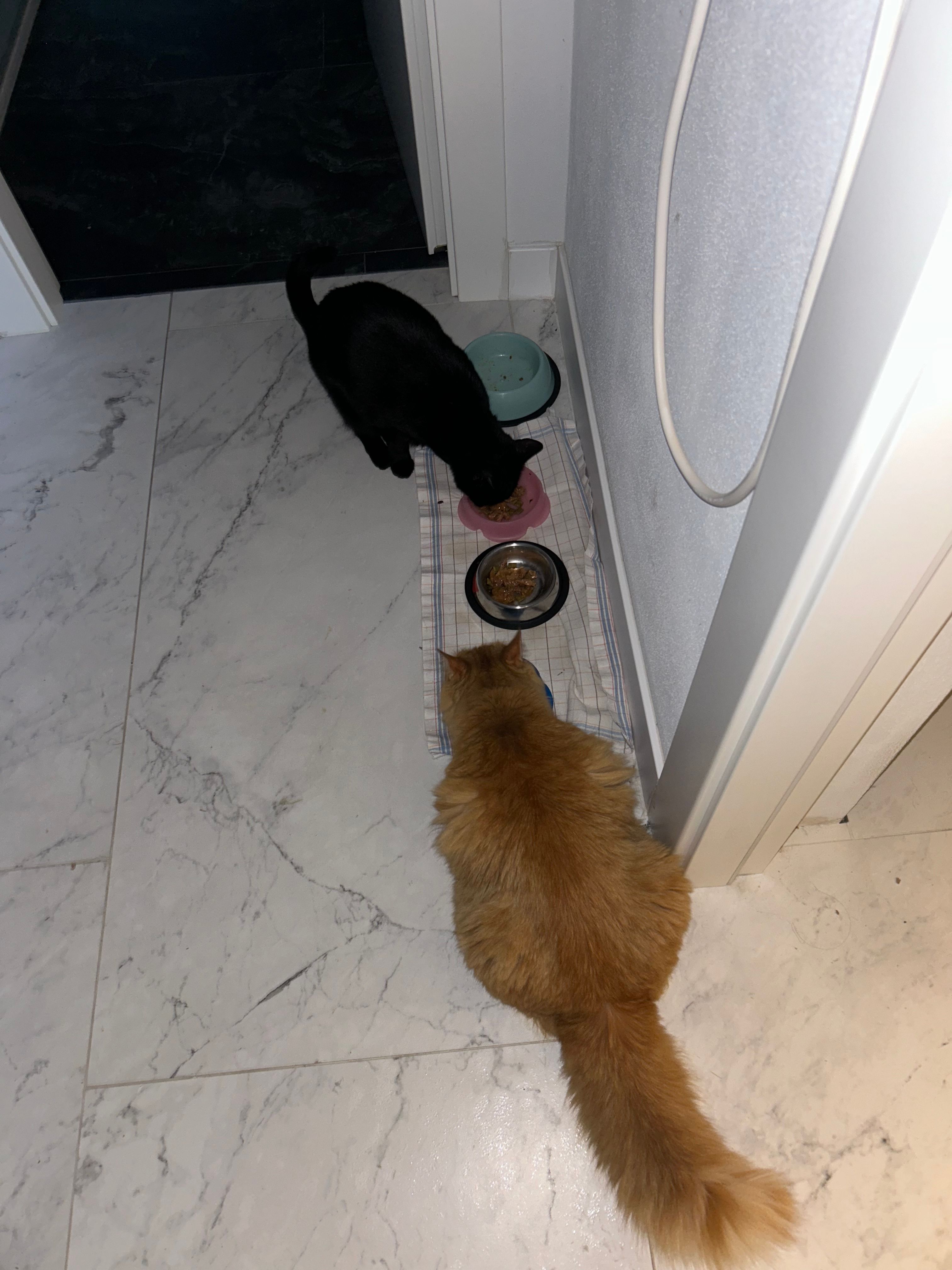 image-14