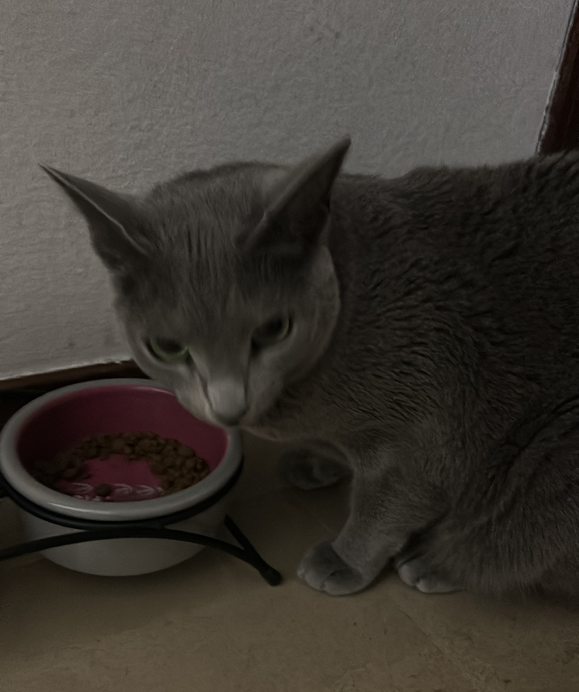 image-9