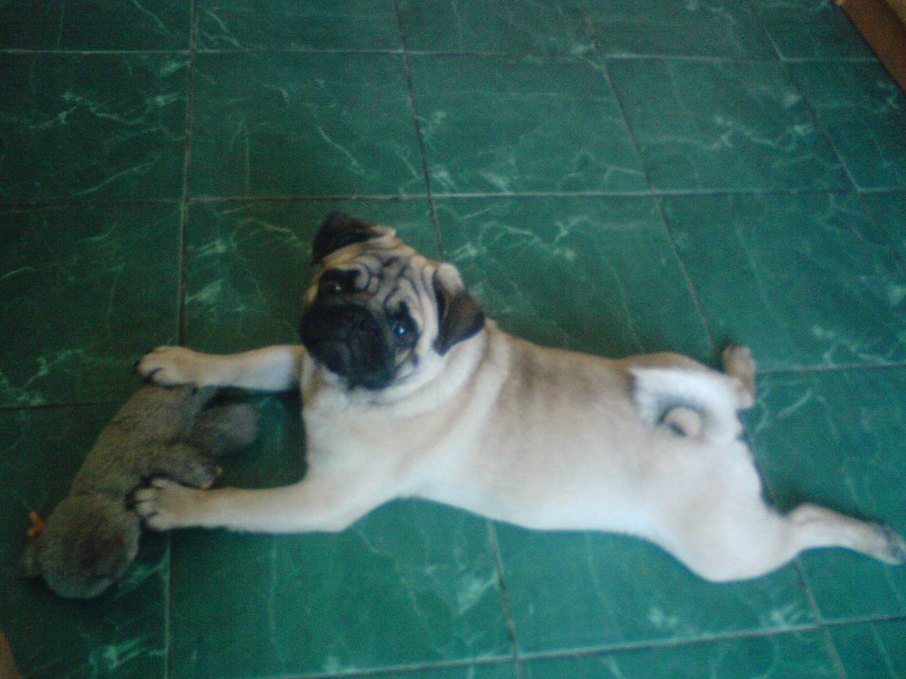 image-4