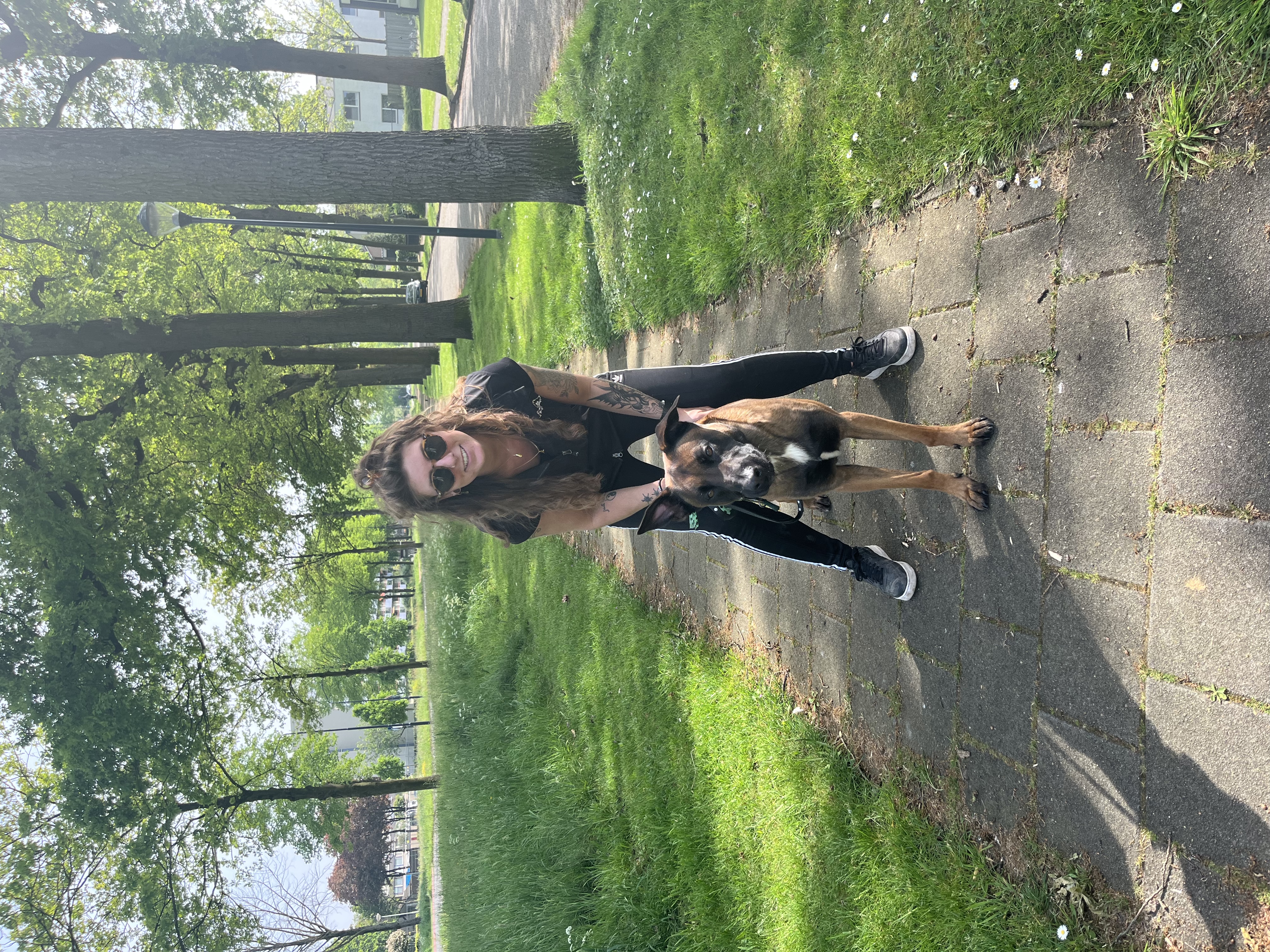 image-2