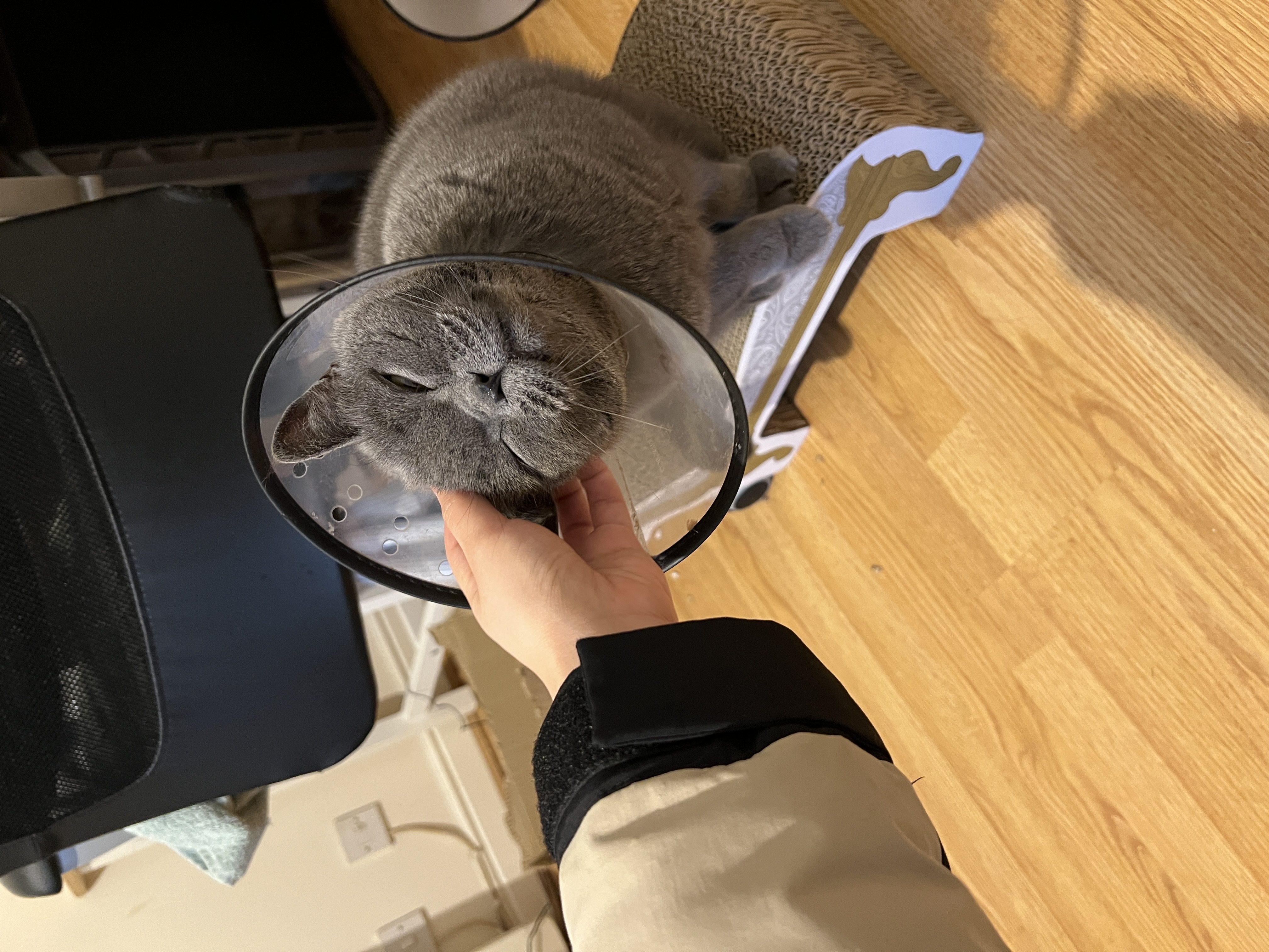 image-8