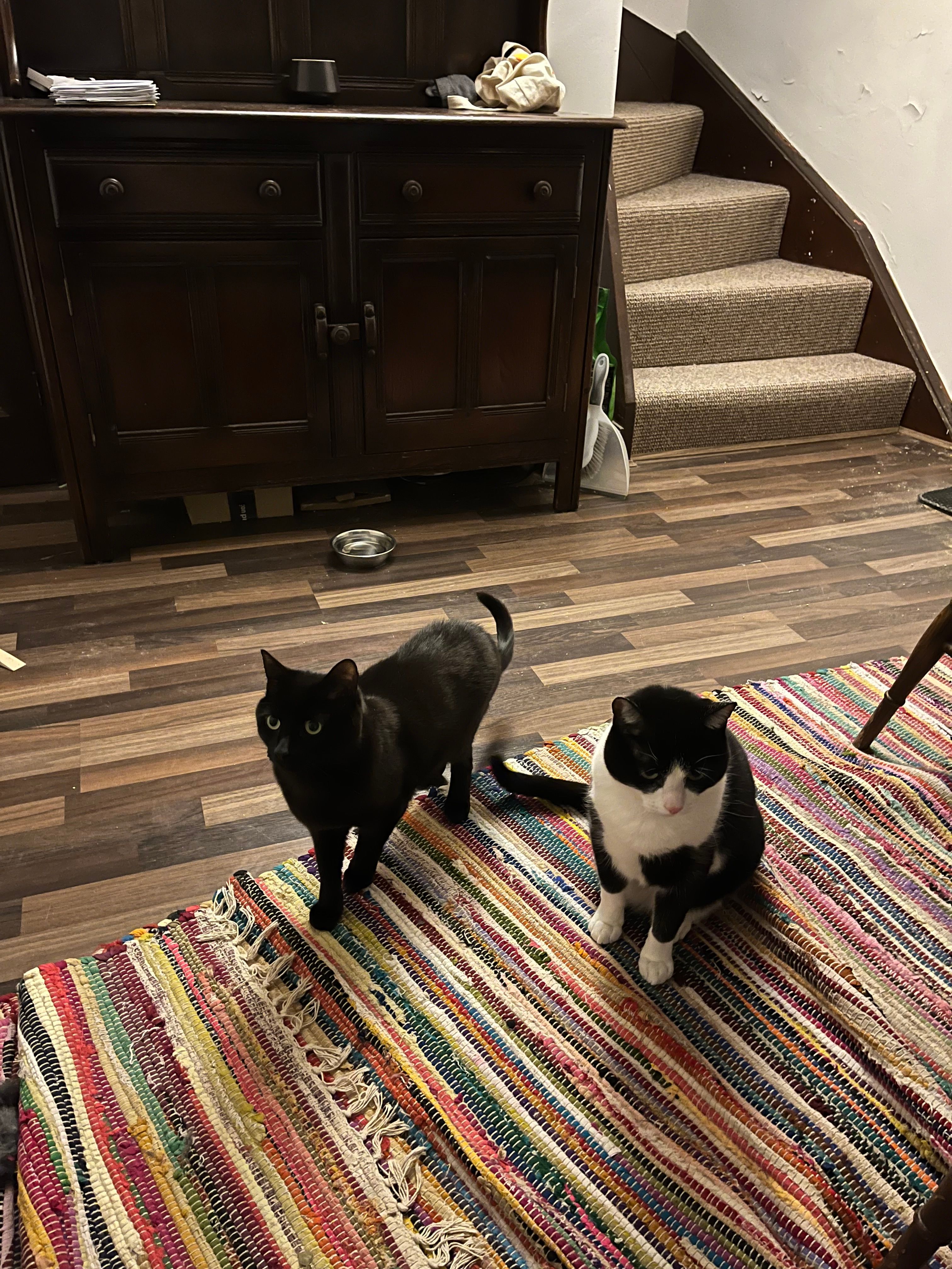 image-13