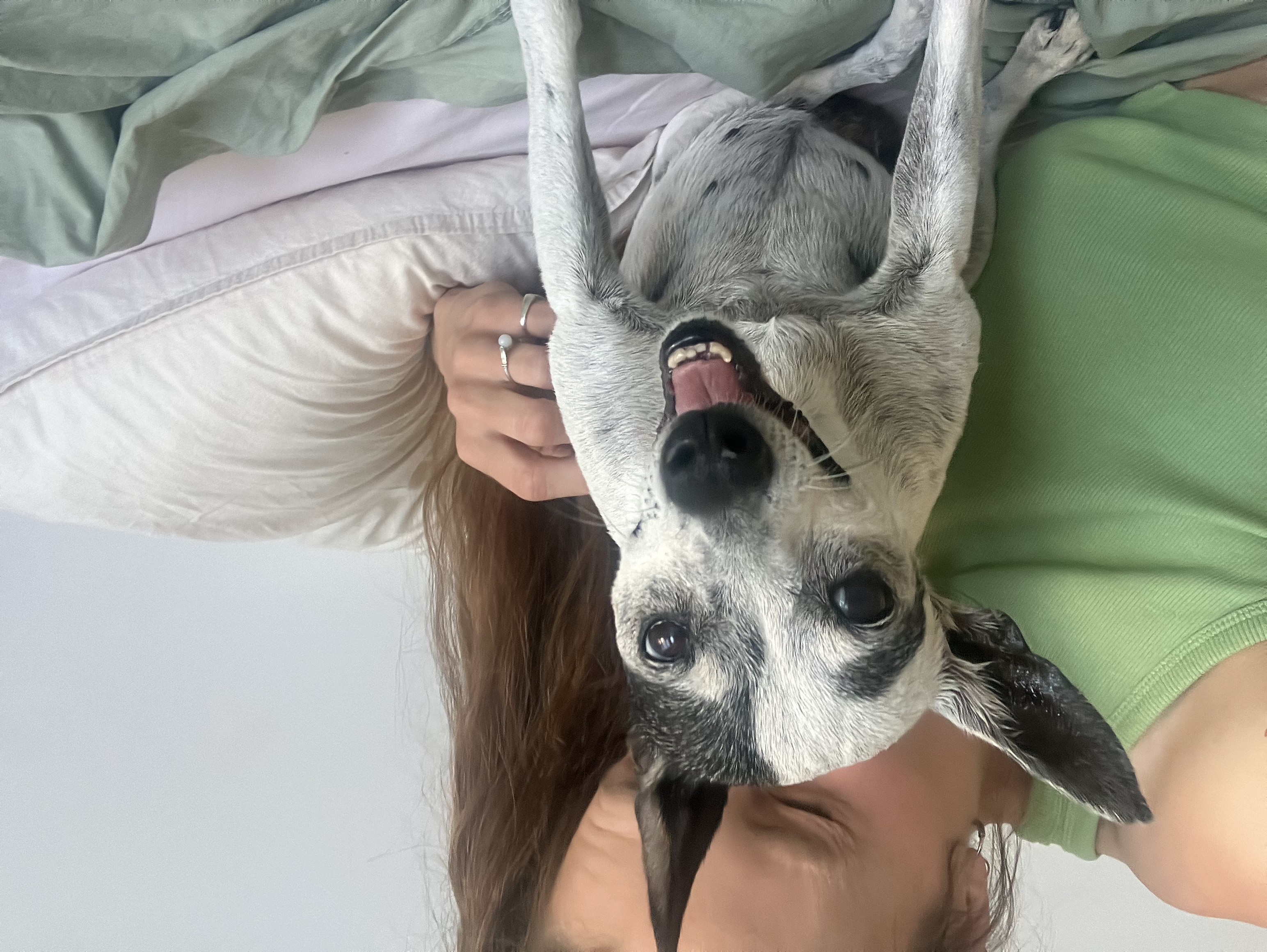 image-6