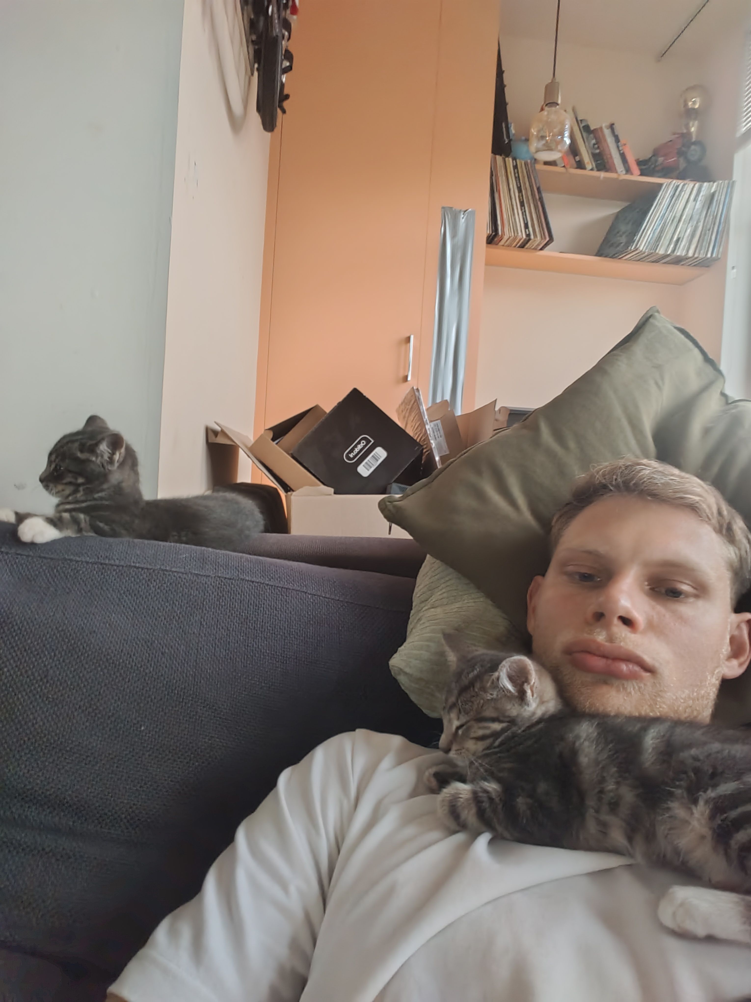 image-4