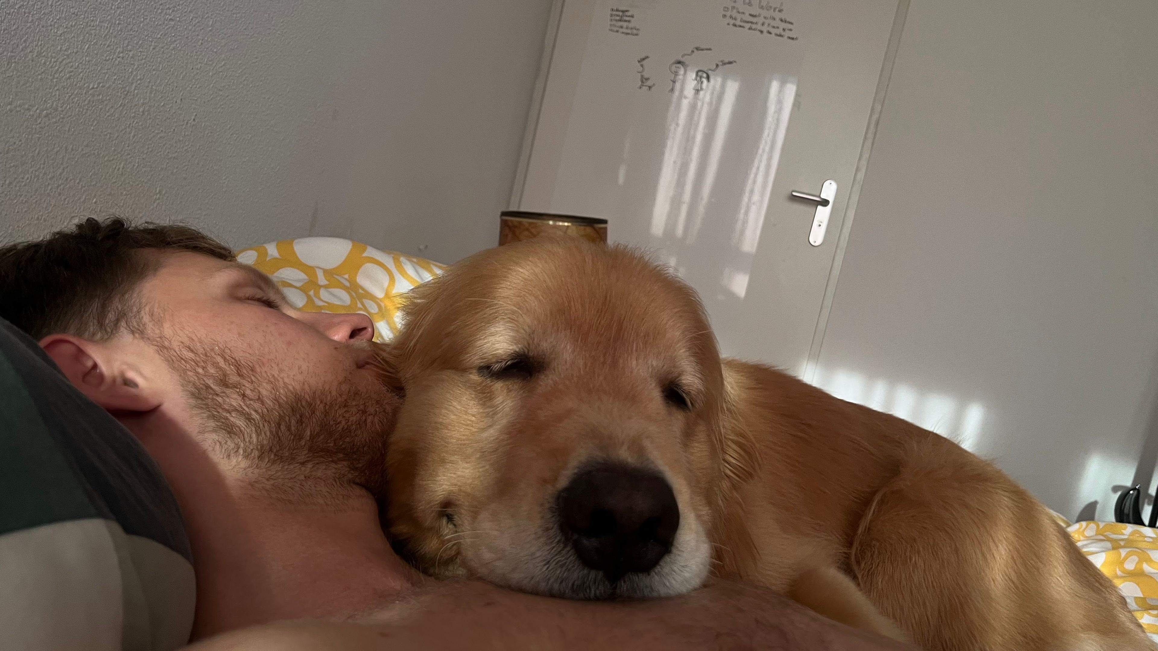 image-6