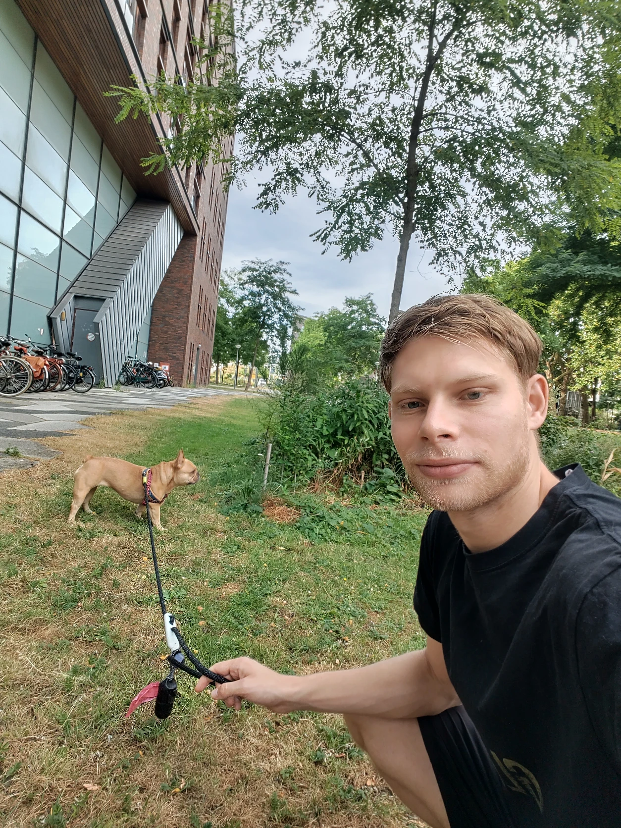 image-8