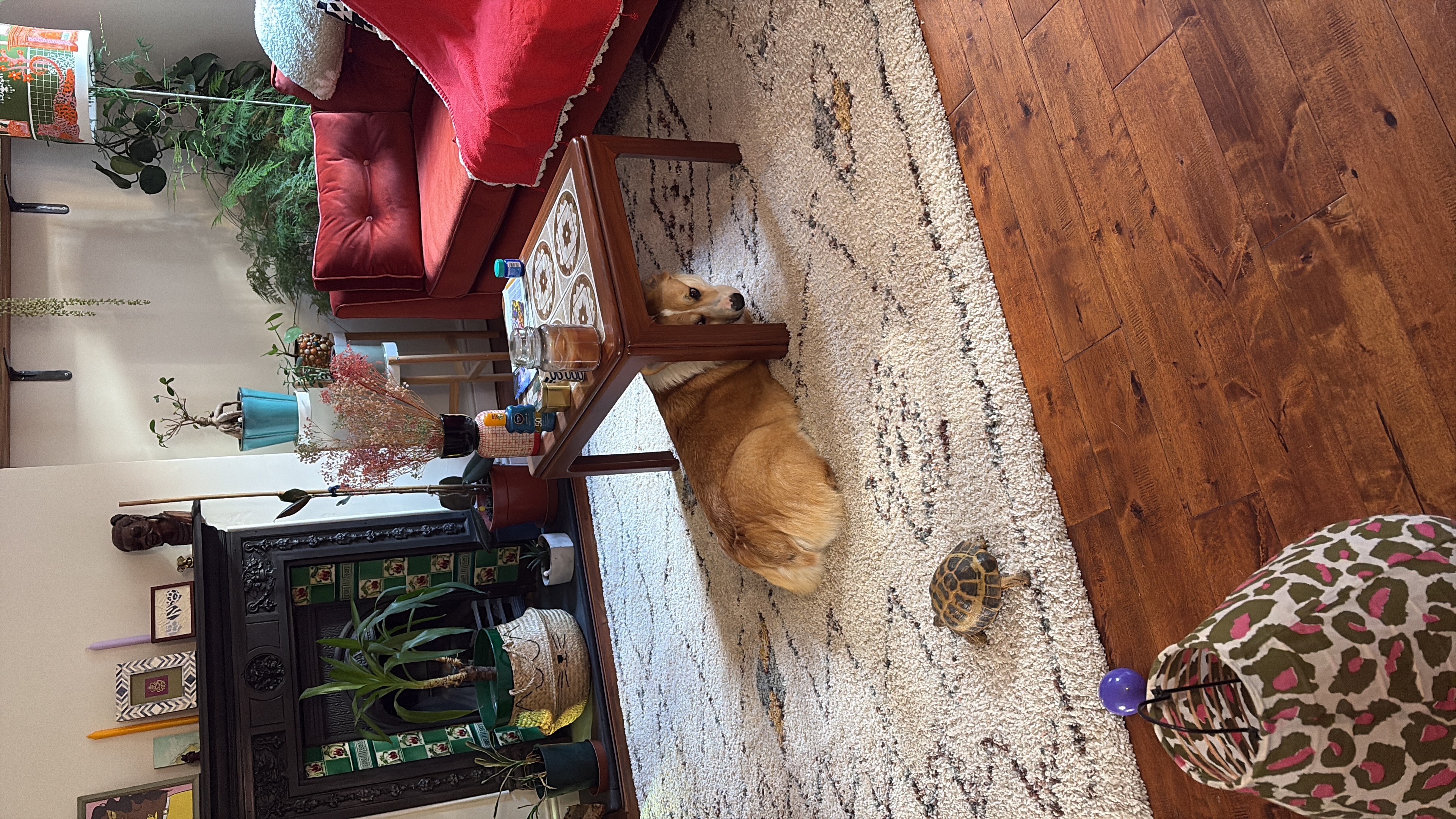image-18