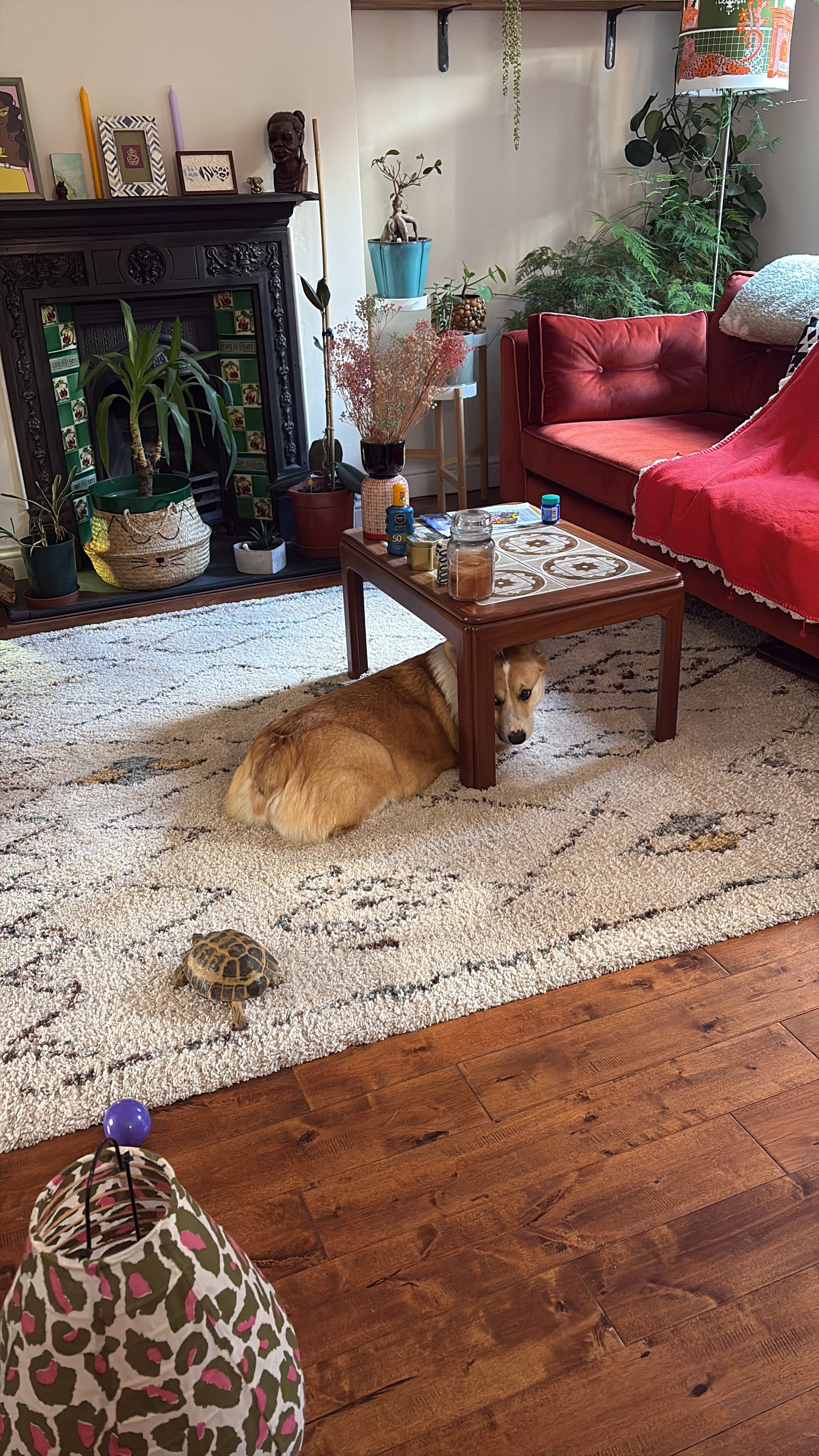 image-18