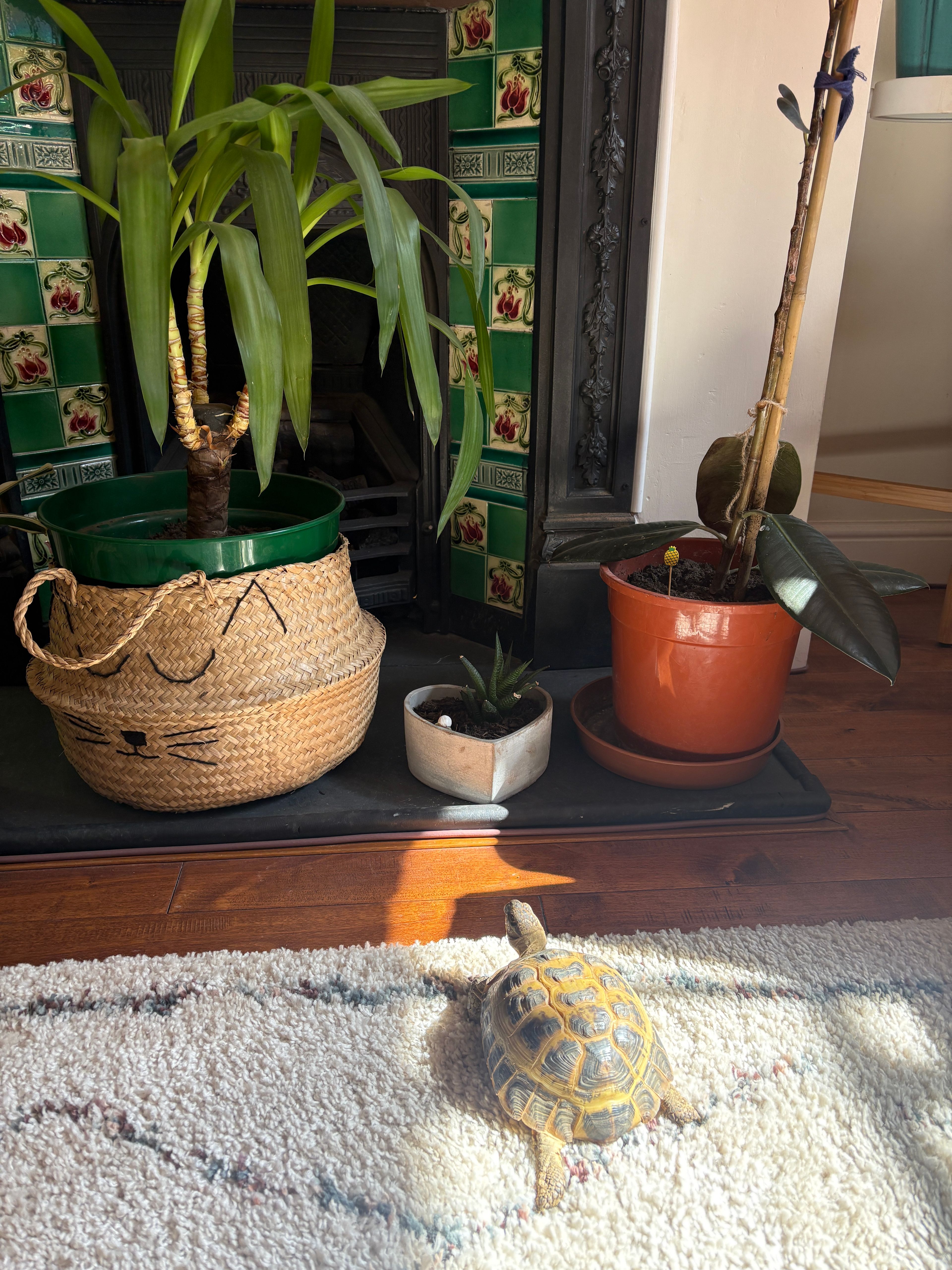 image-17