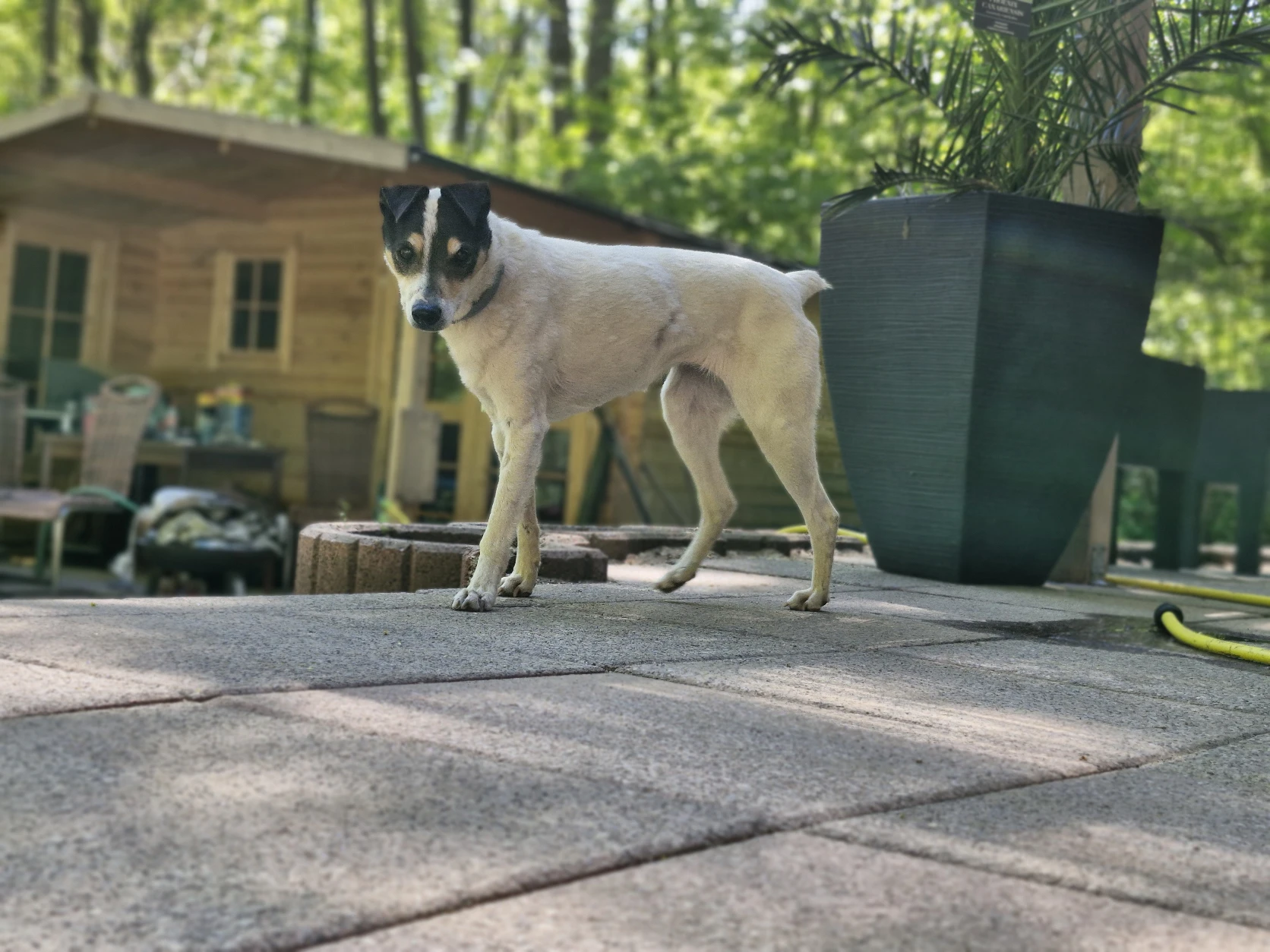 image-11
