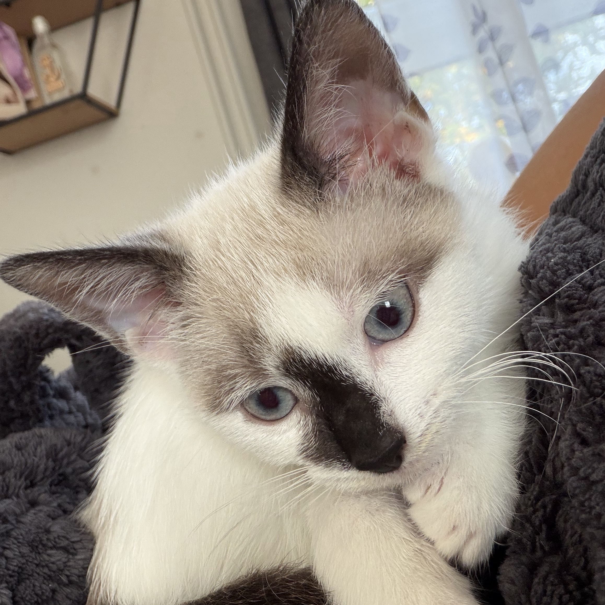 Luna