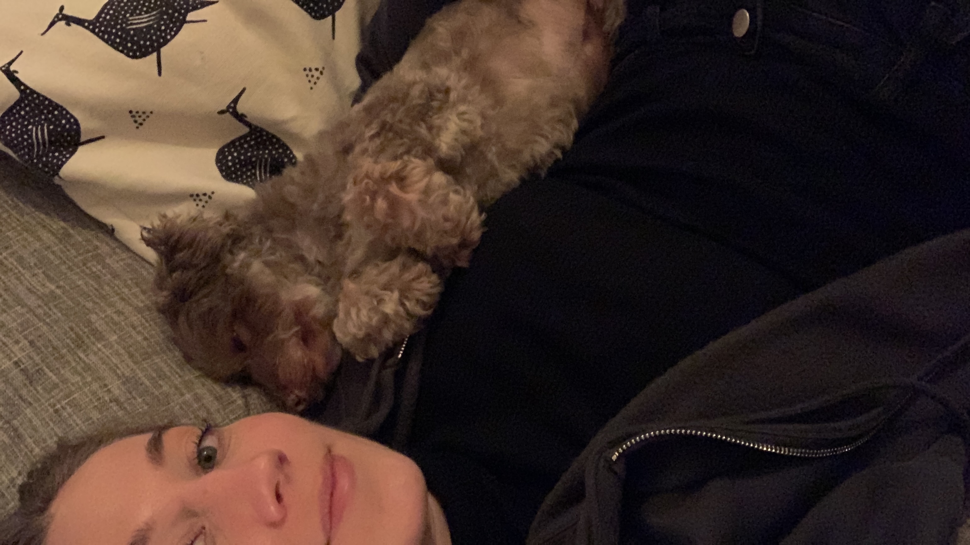 image-6