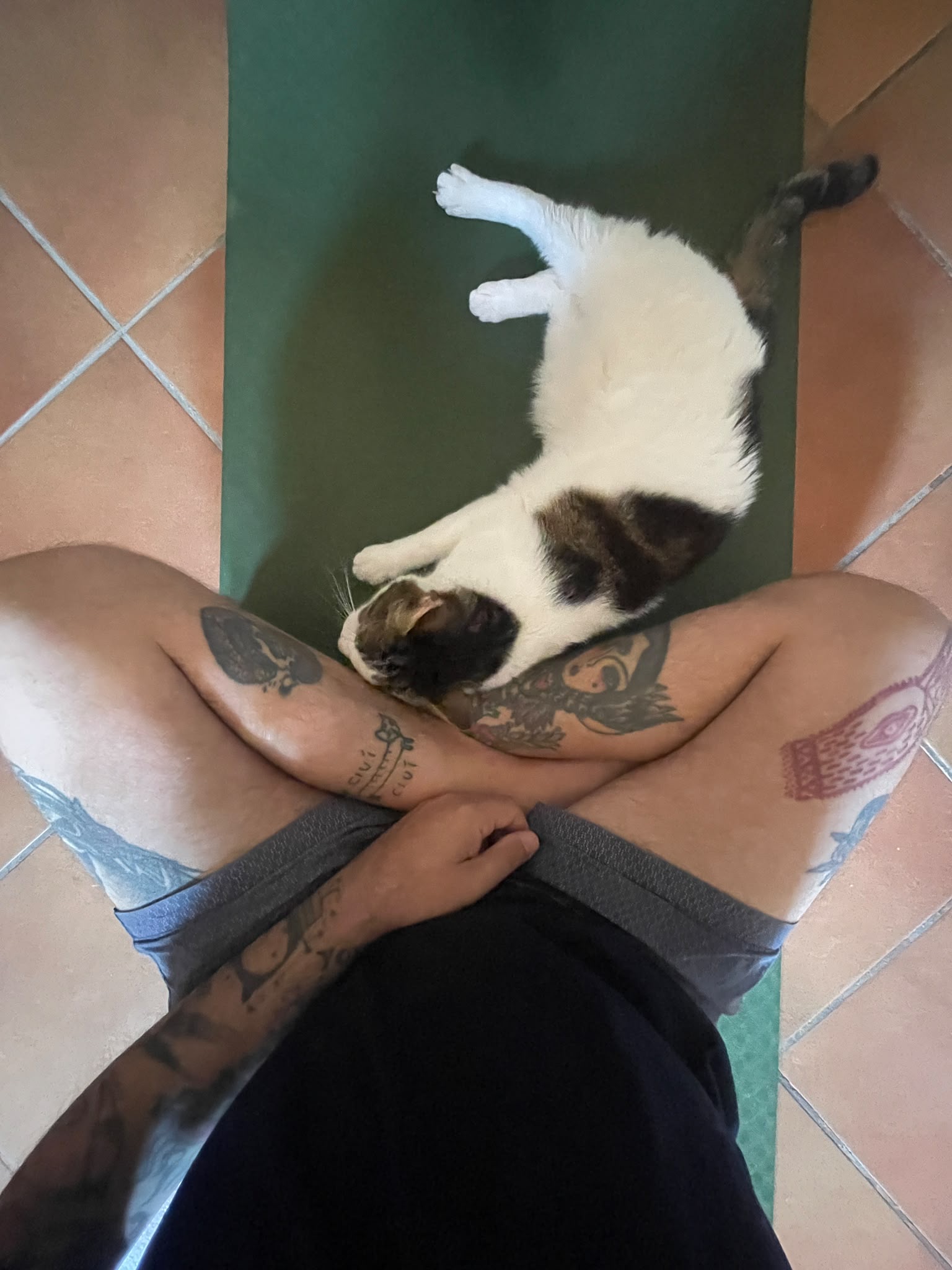 image-12