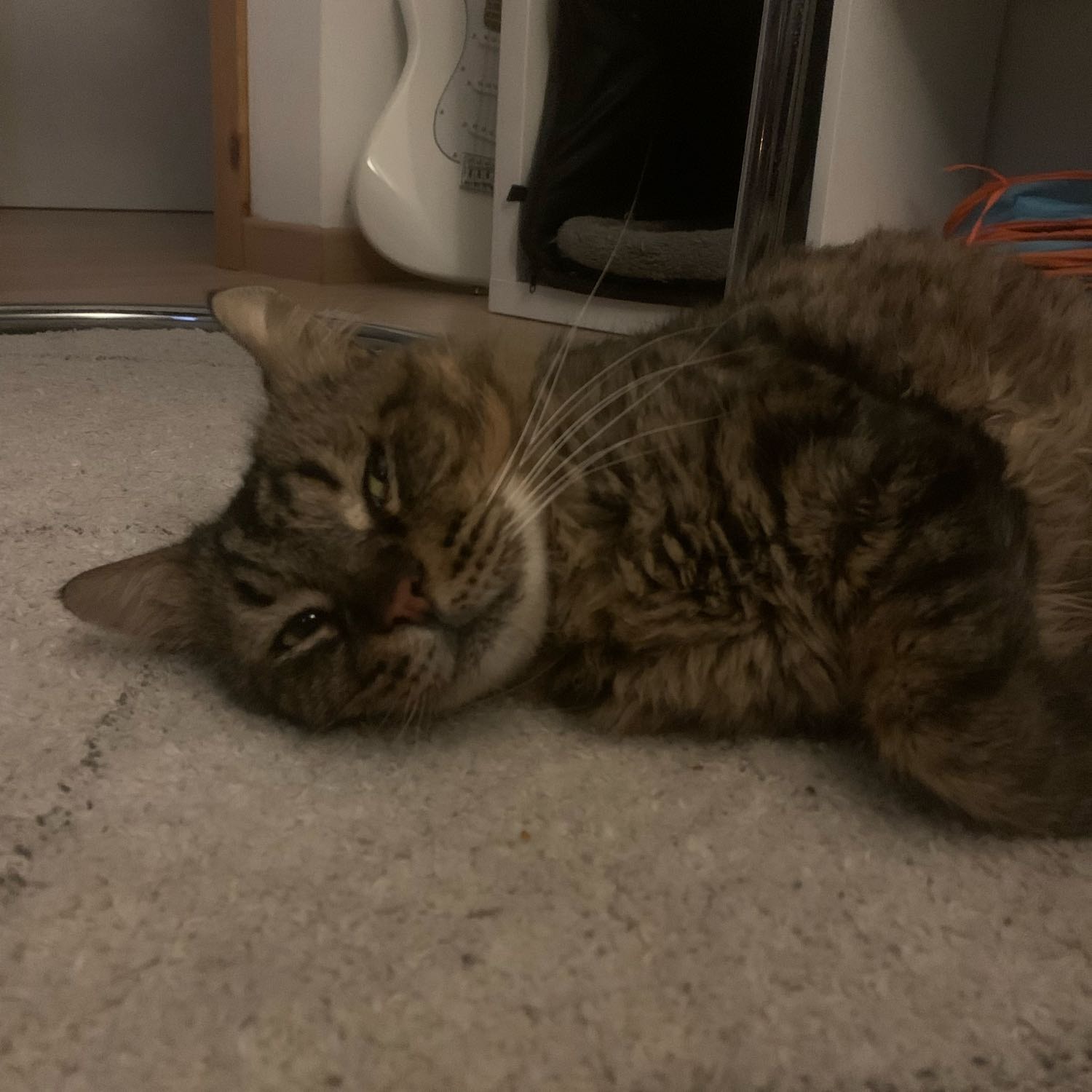tigrou