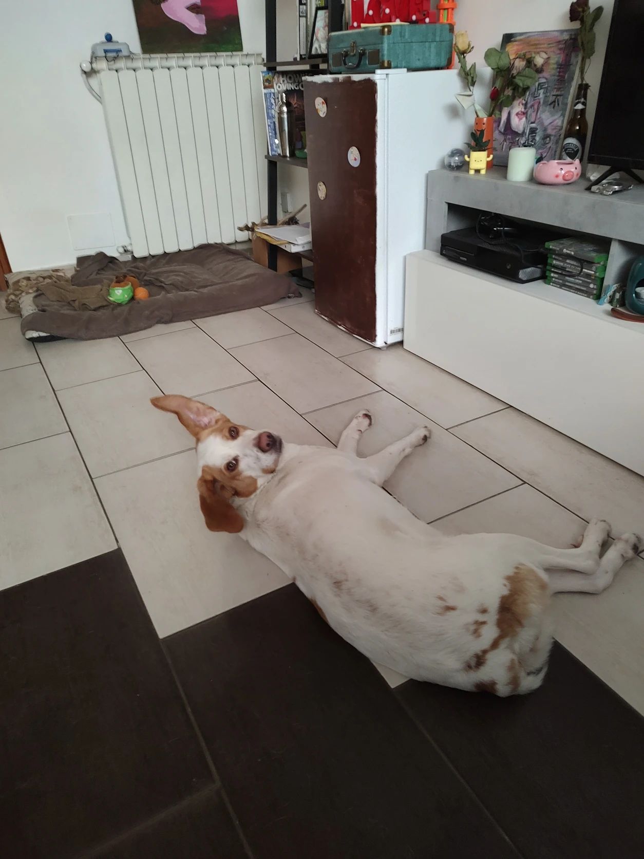 image-22