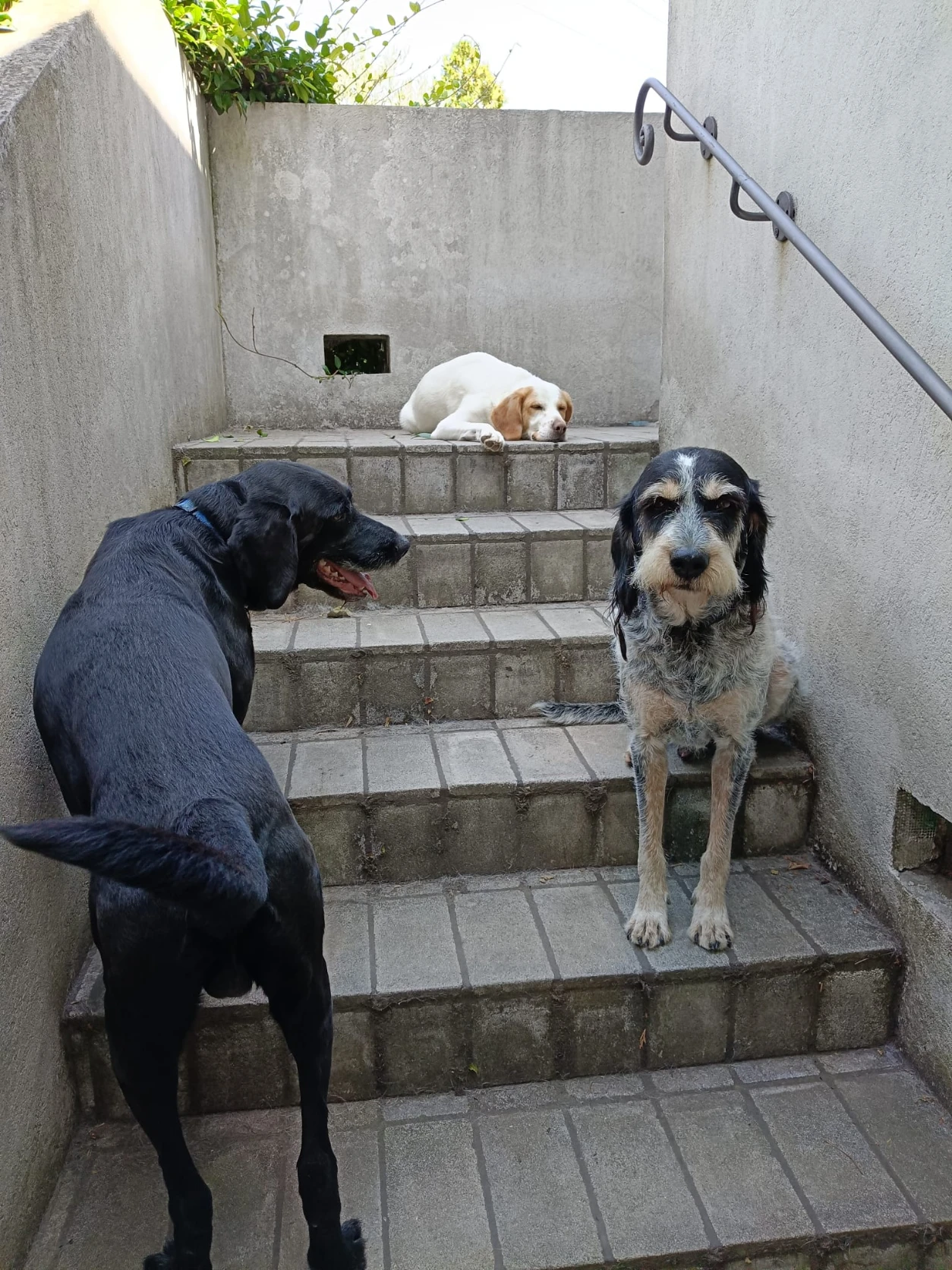 image-9