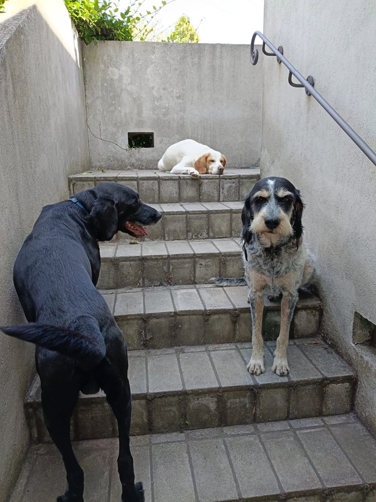 image-9