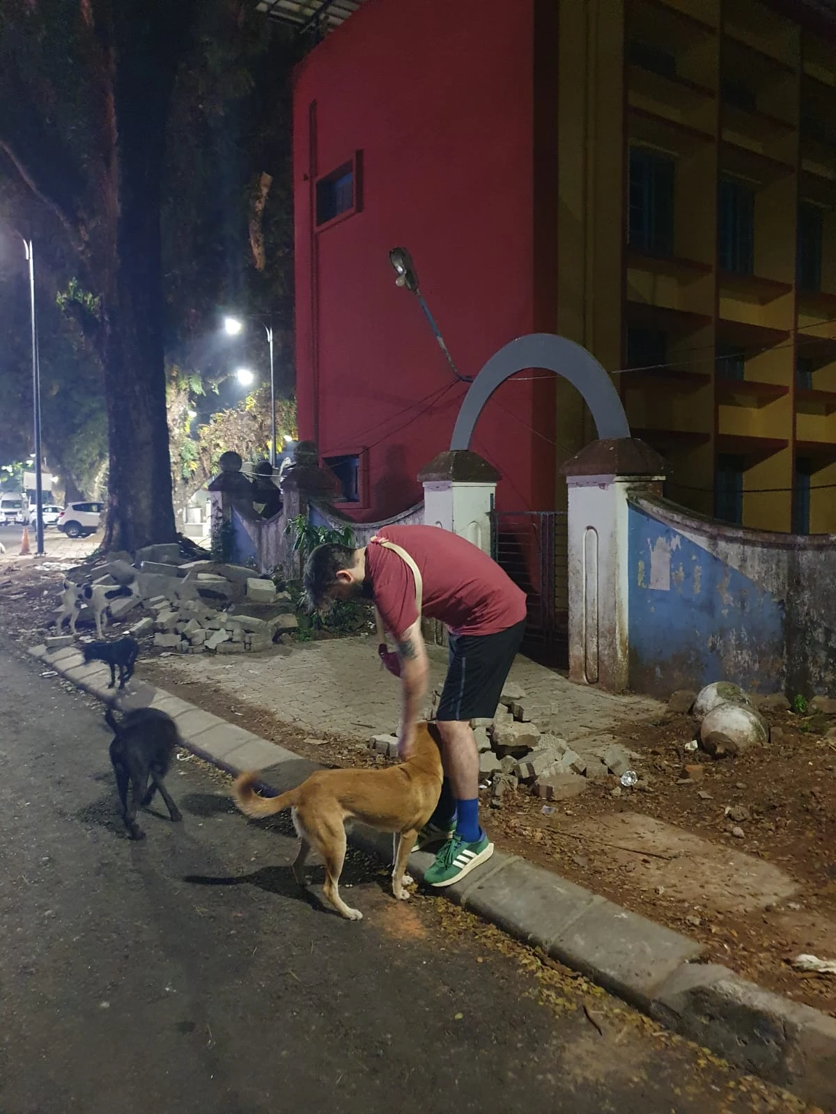image-7