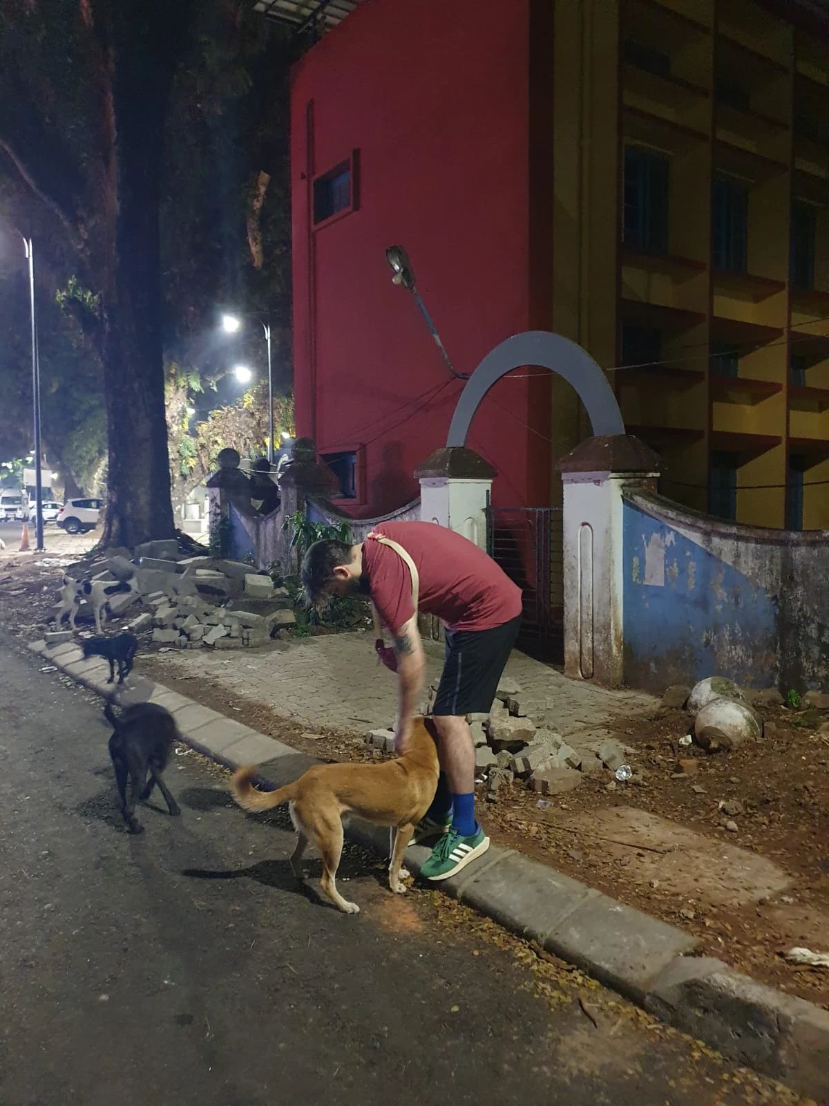 image-7