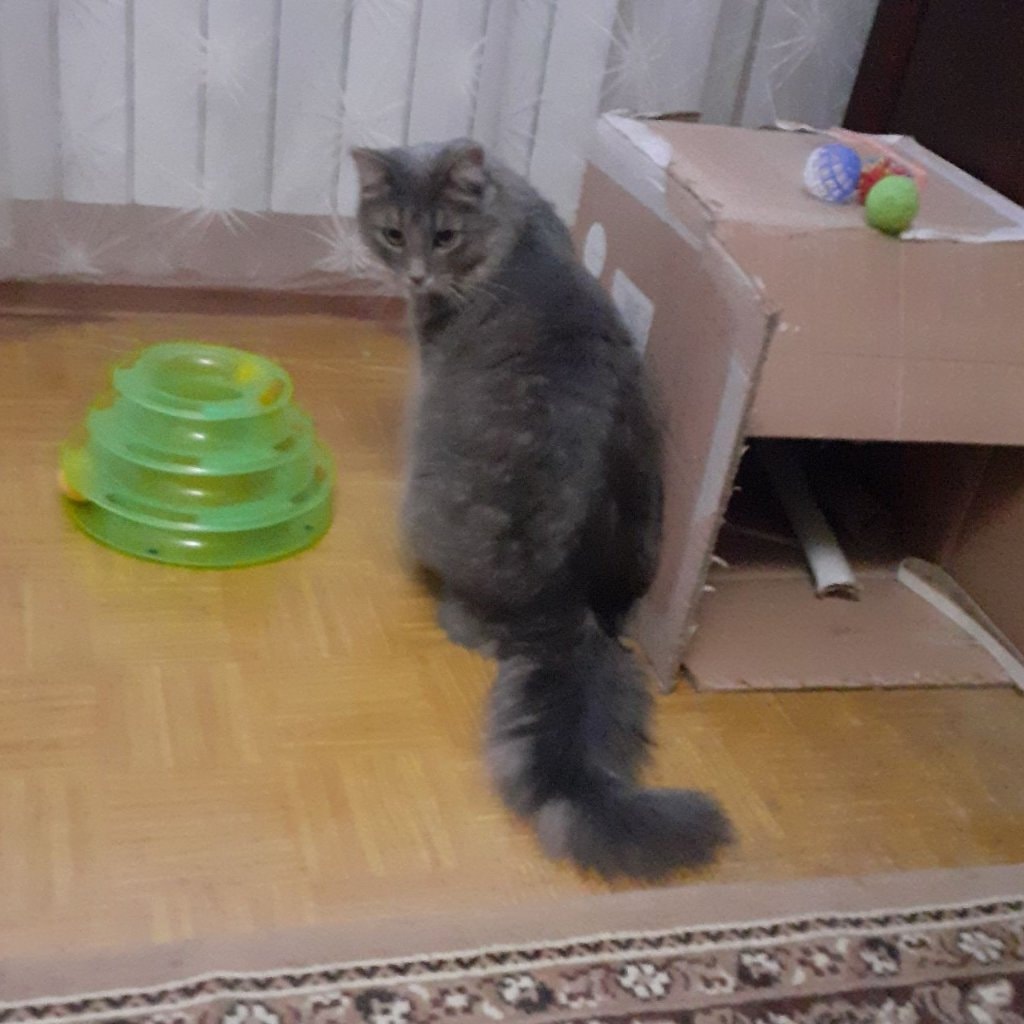 image-0