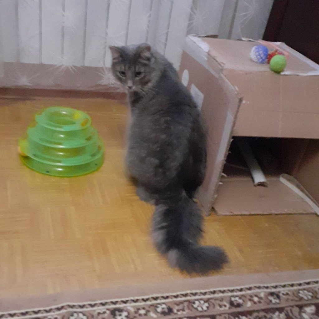 image-0