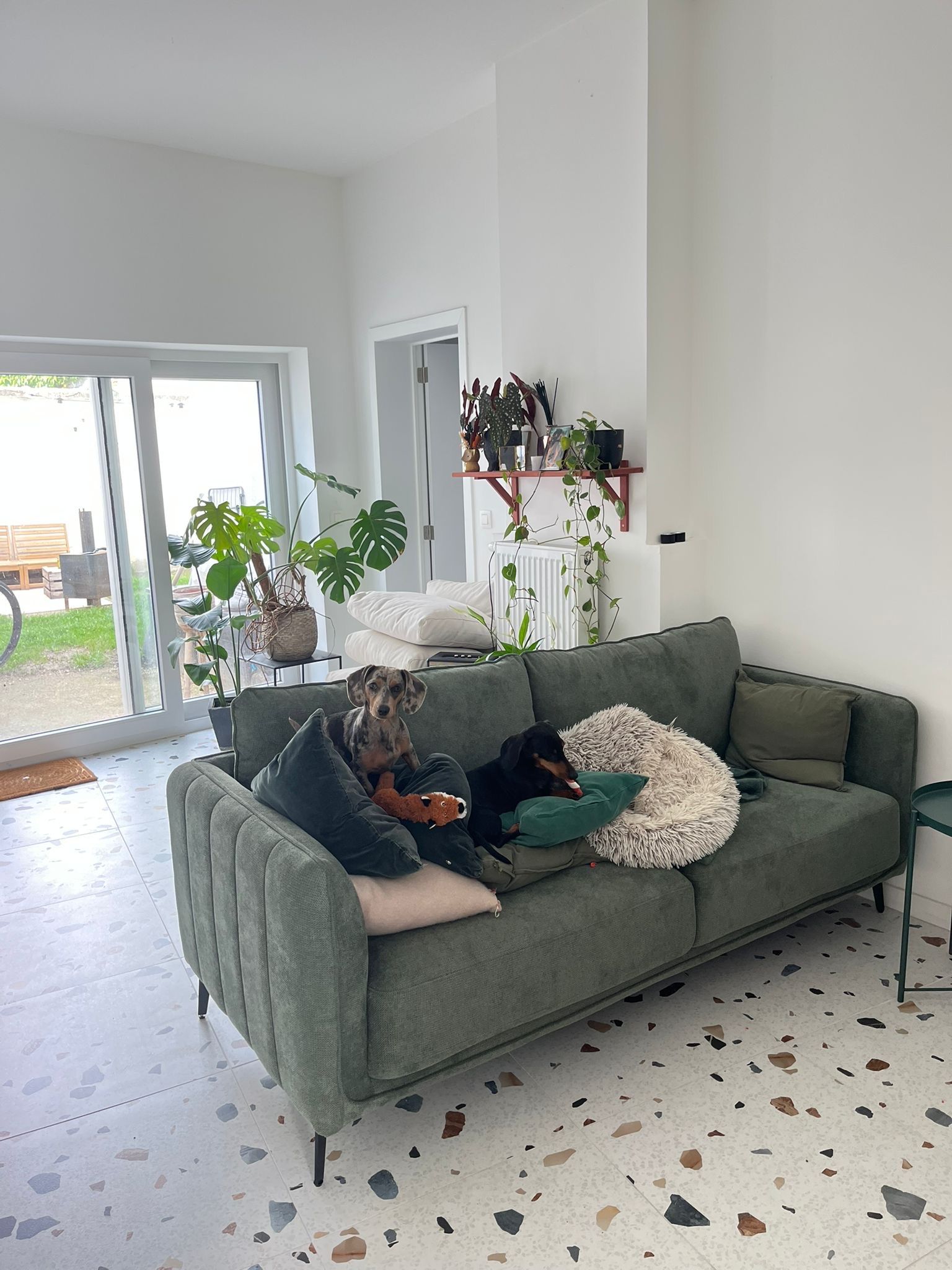 image-12