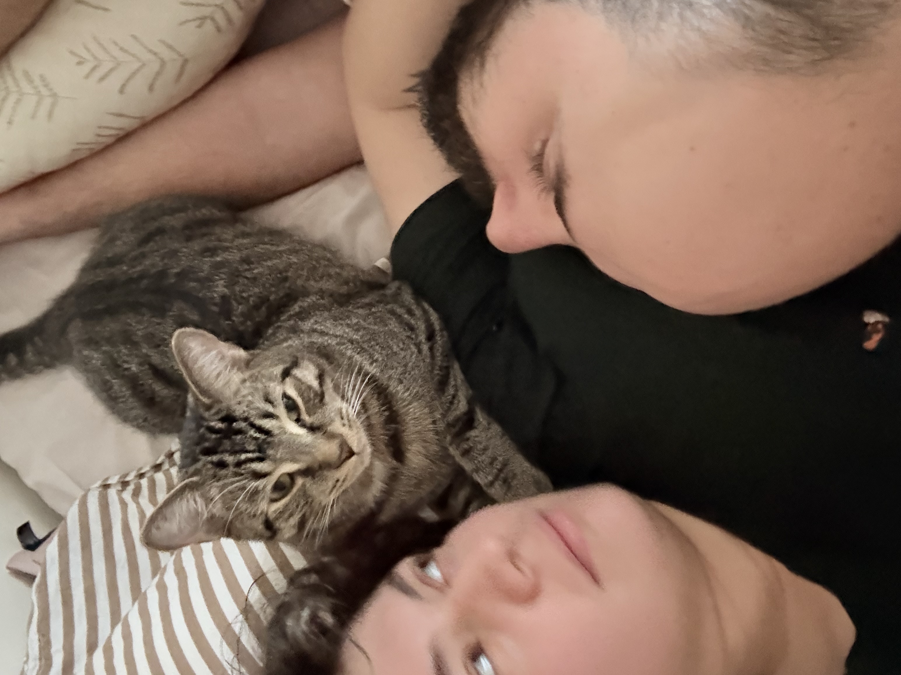 image-6