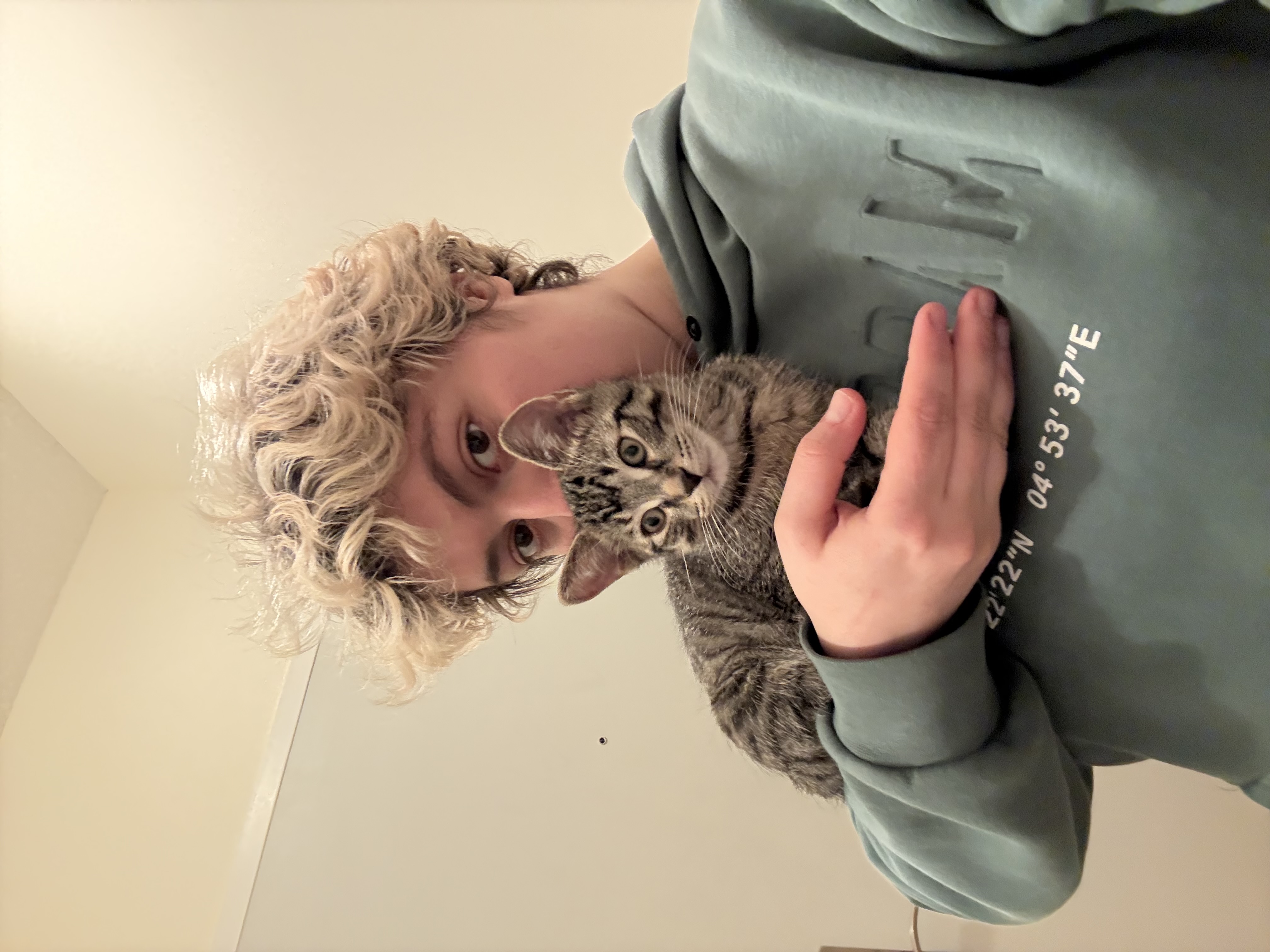 image-8