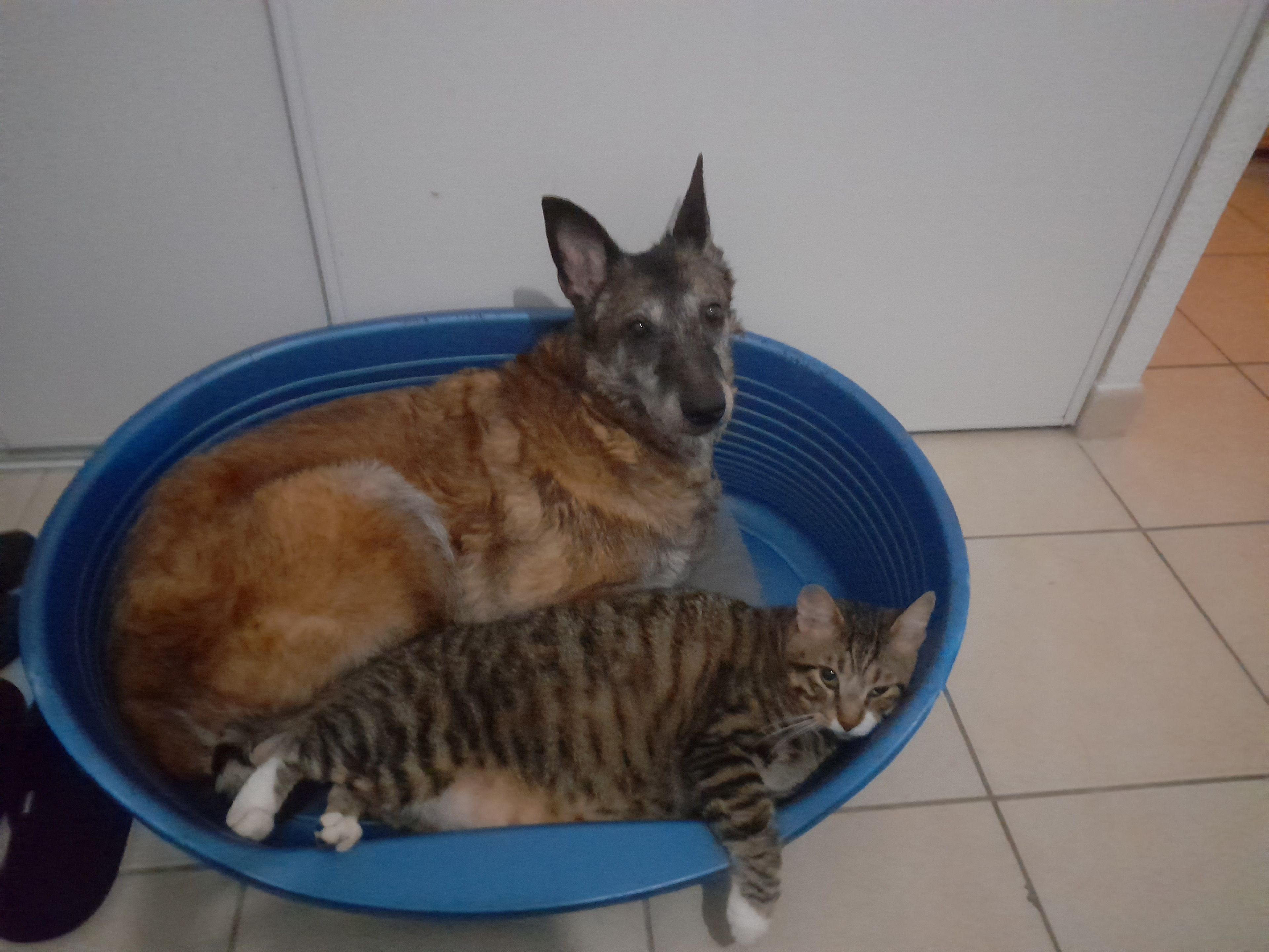 image-5
