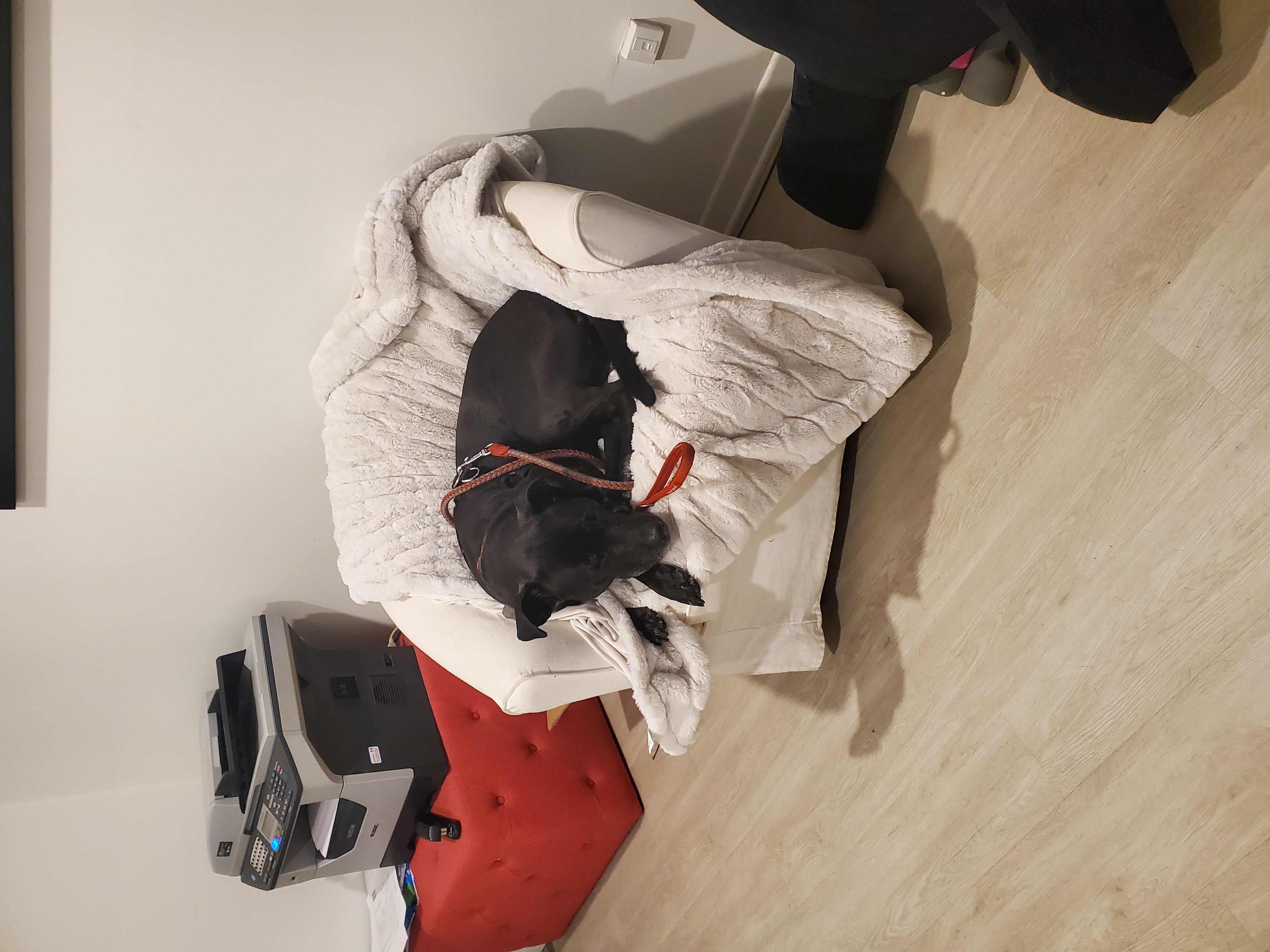 image-4