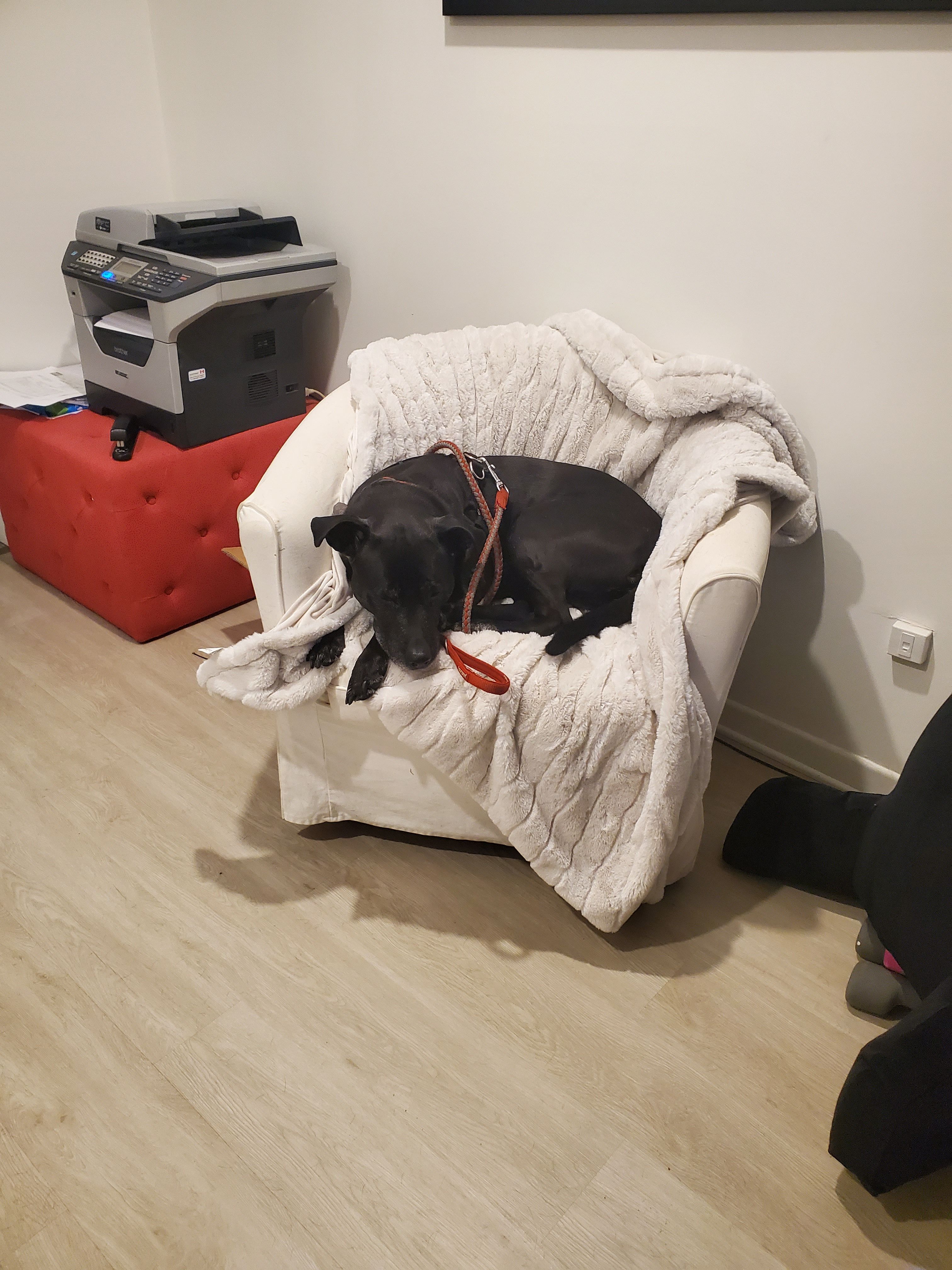 image-4