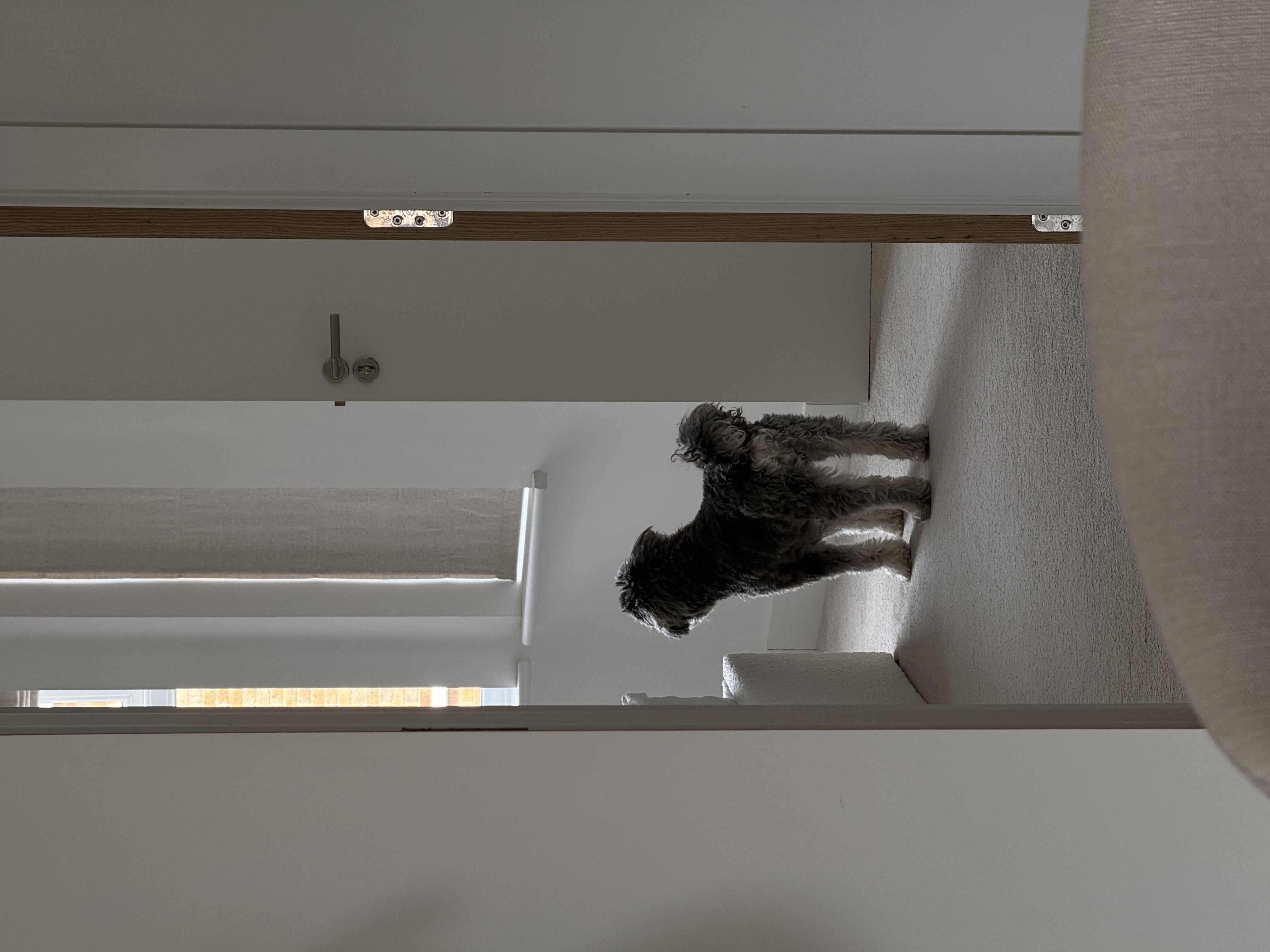 image-14