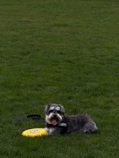 image-11